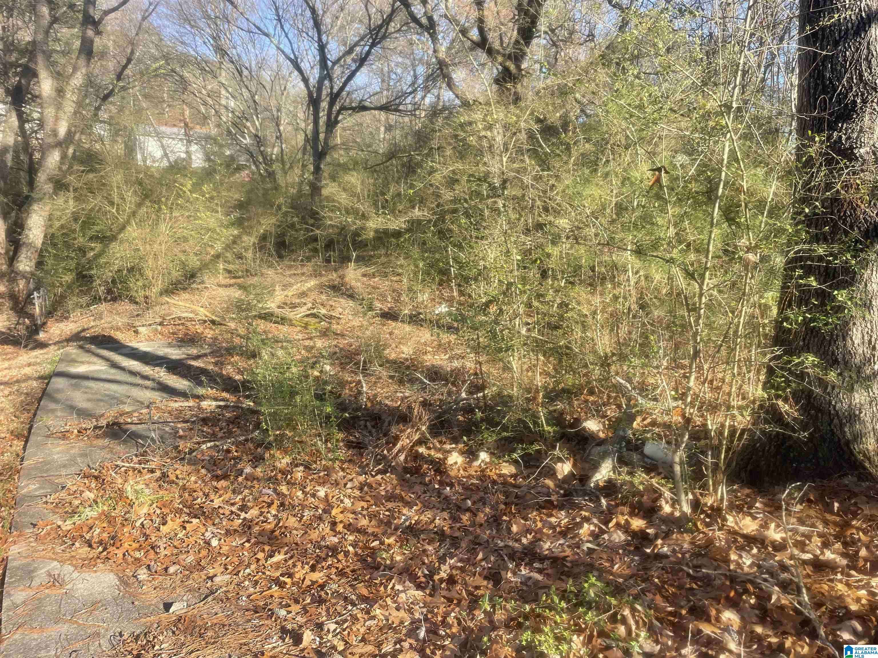 Pinson, AL 35146,6476 KIMBERLY LOOP #132