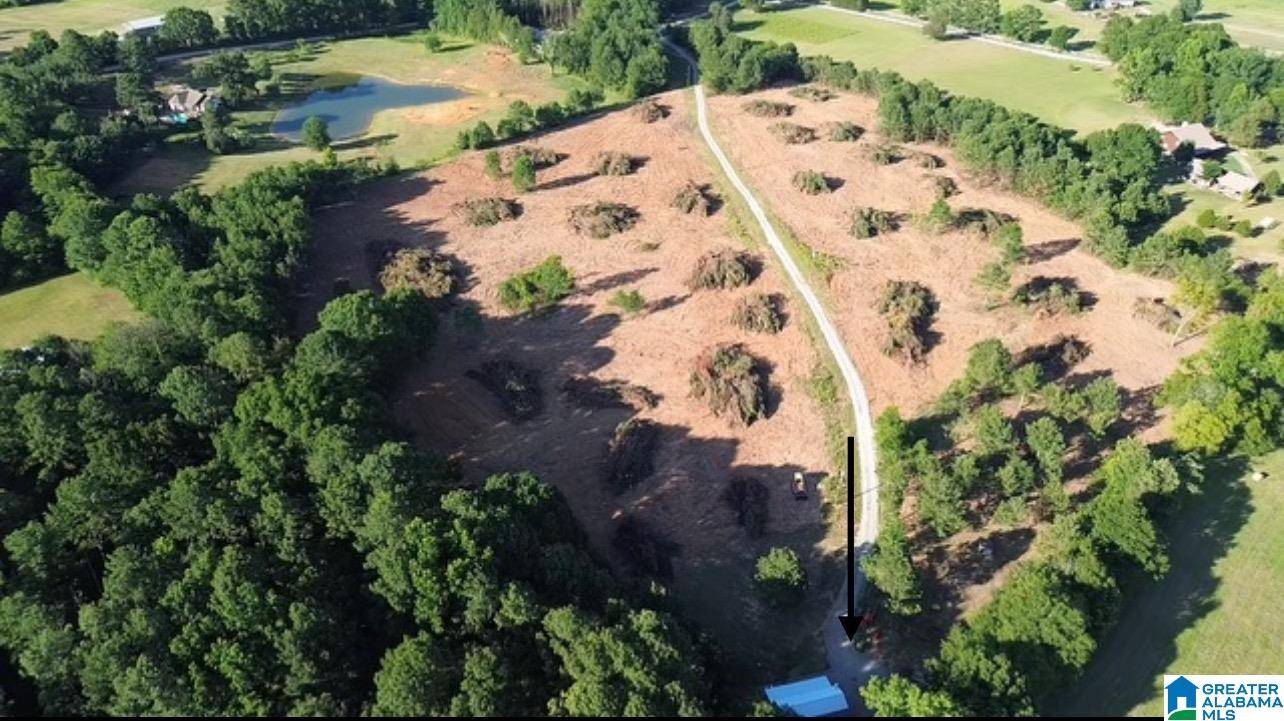 Columbiana, AL 35051,95 WILD TURKEY TRAIL