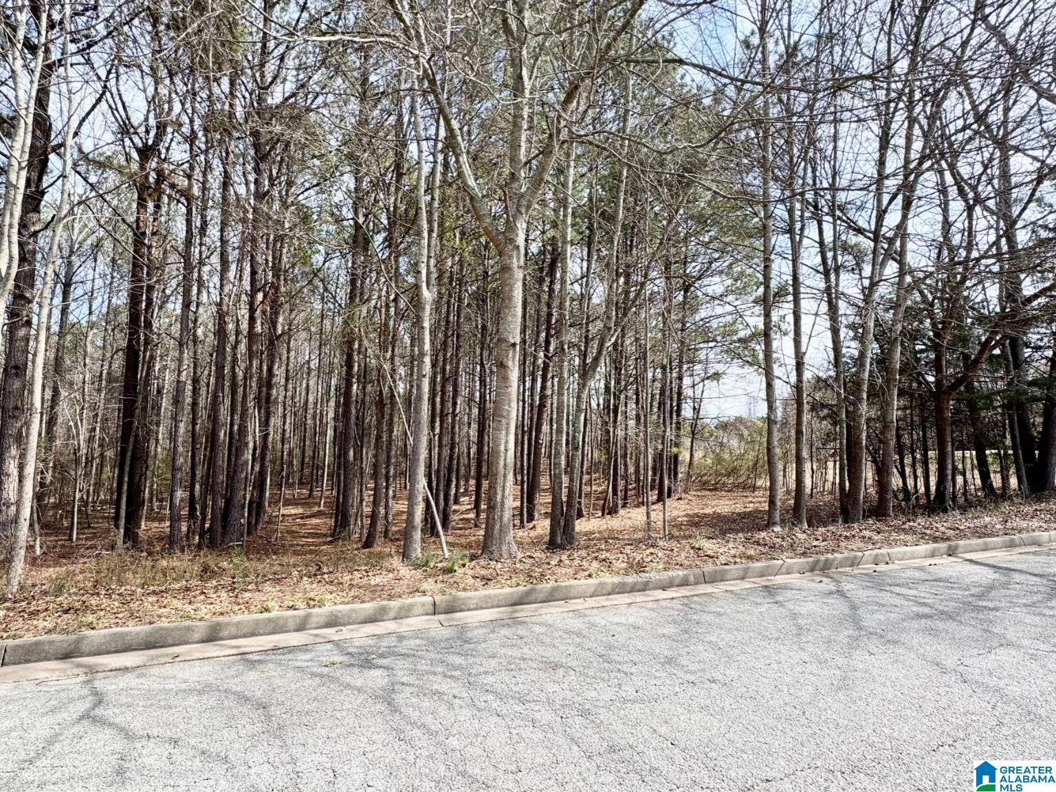 Roanoke, AL 36274,0 FAIRWAY DRIVE #8