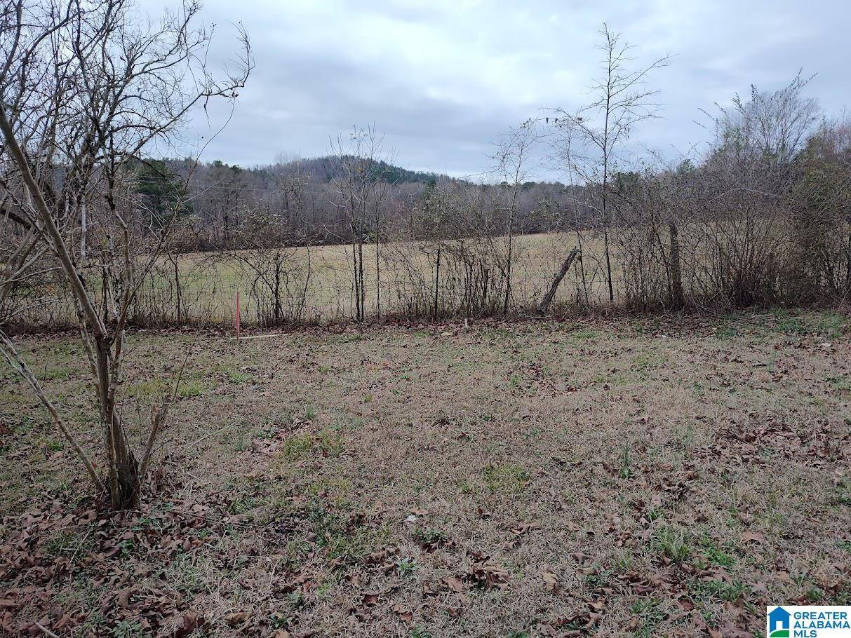 Sylacauga, AL 35150,1322 TALLADEGA SPRINGS ROAD