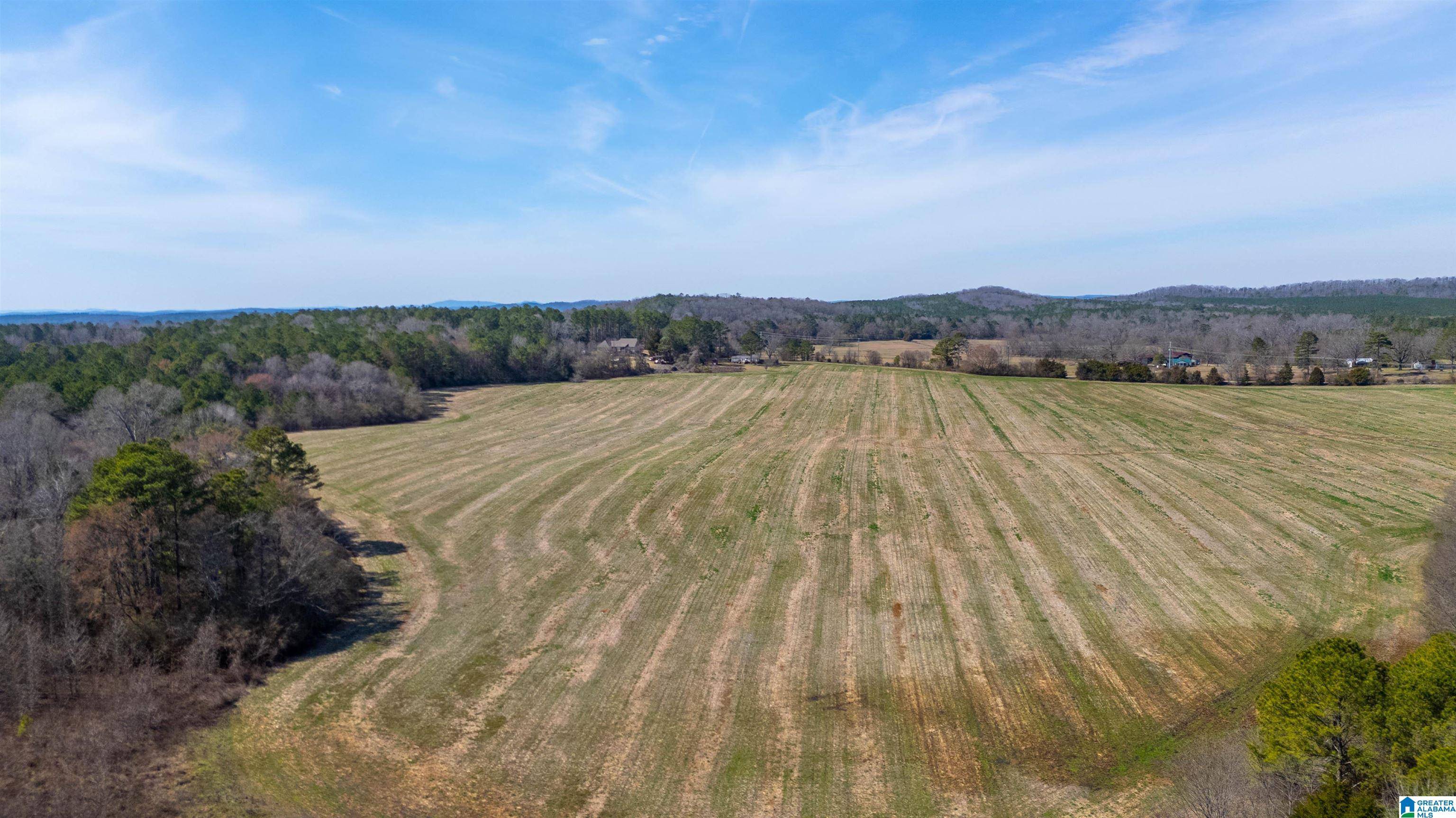 Lincoln, AL 35096,0 BROOKS LAKE ROAD #1