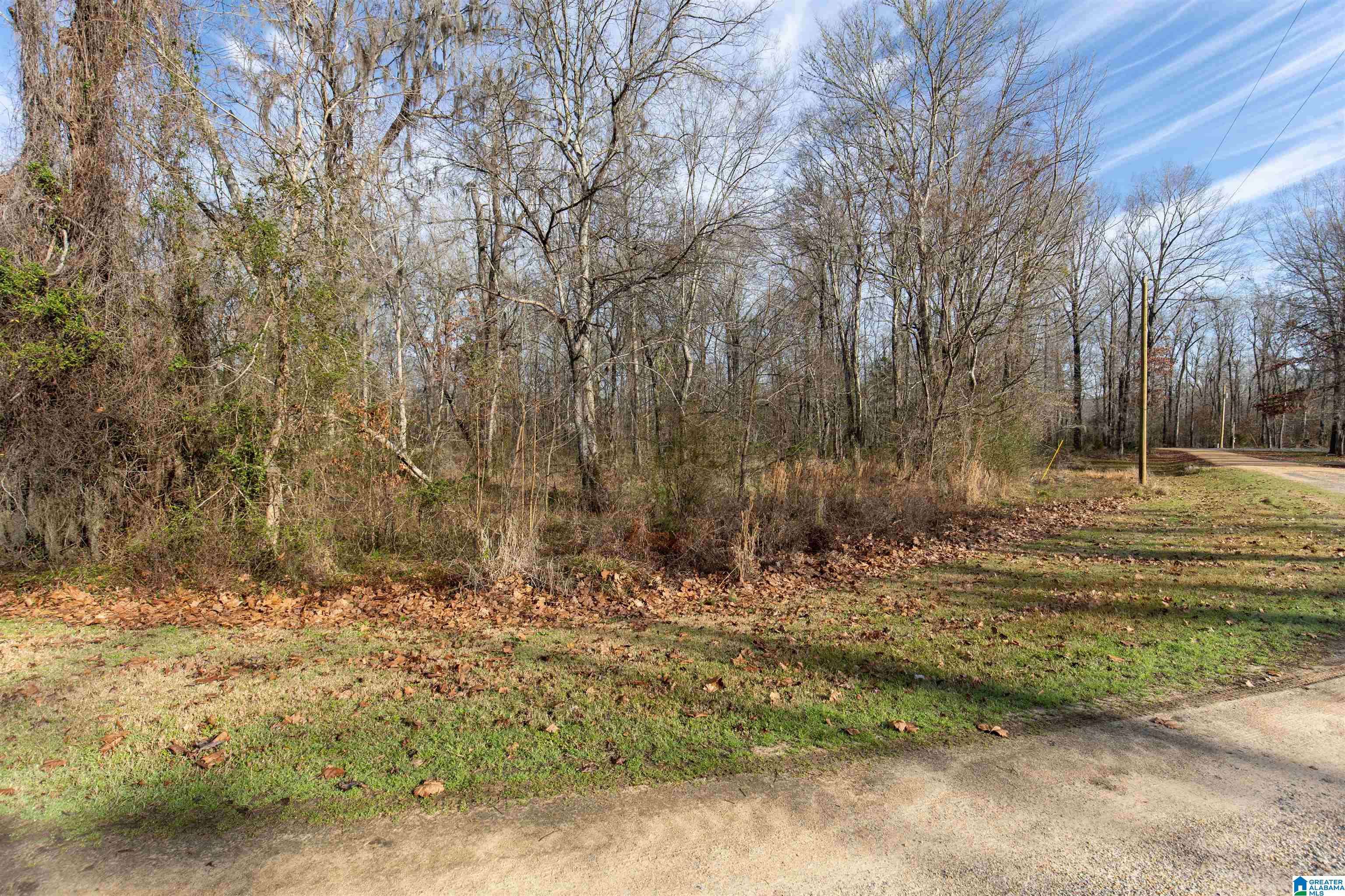 Orrville, AL 36767,0 RIVER OAKS LANDING CIRCLE #43