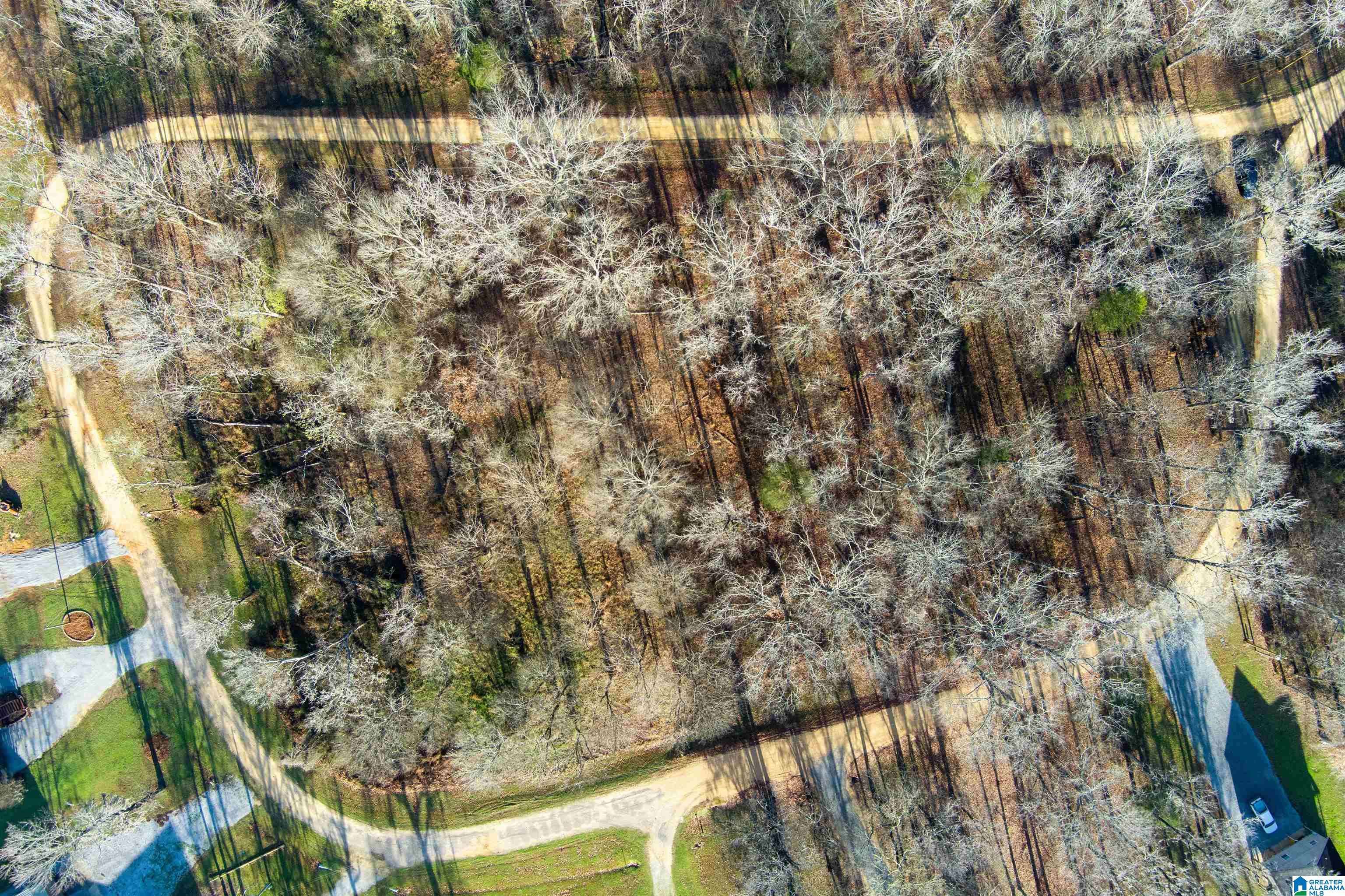 Orrville, AL 36767,0 RIVER OAKS LANDING CIRCLE #44