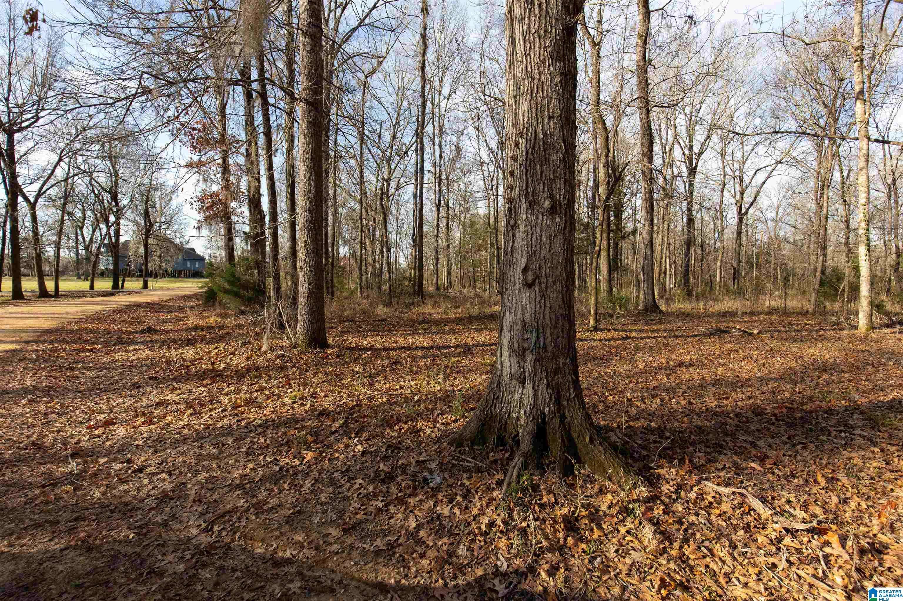 Orrville, AL 36767,0 RIVER OAKS LANDING CIRCLE #45
