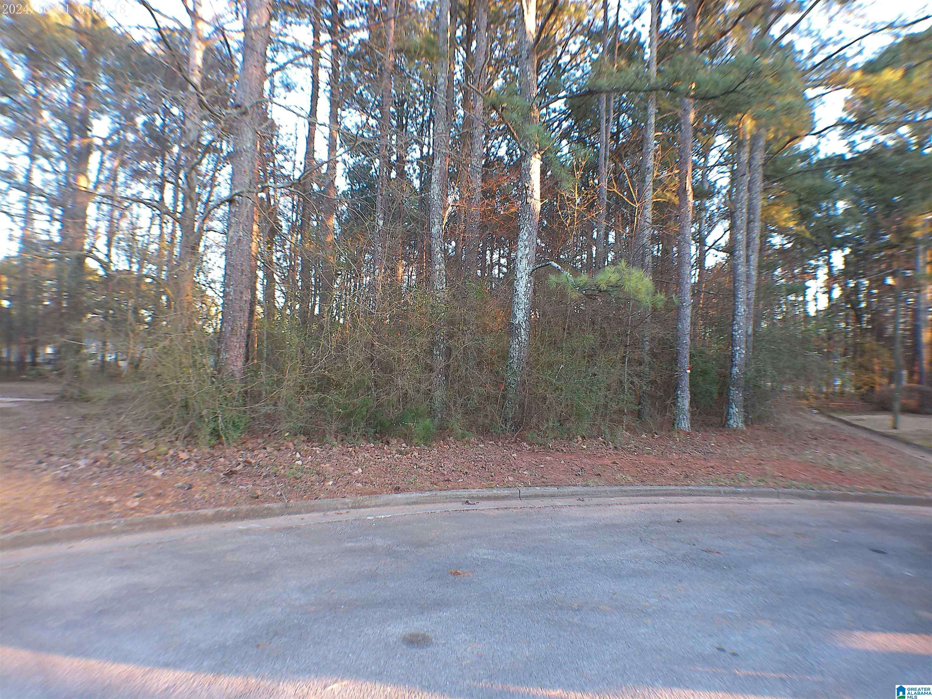 Jacksonville, AL 36265,0 CARRIE COURT SW #68