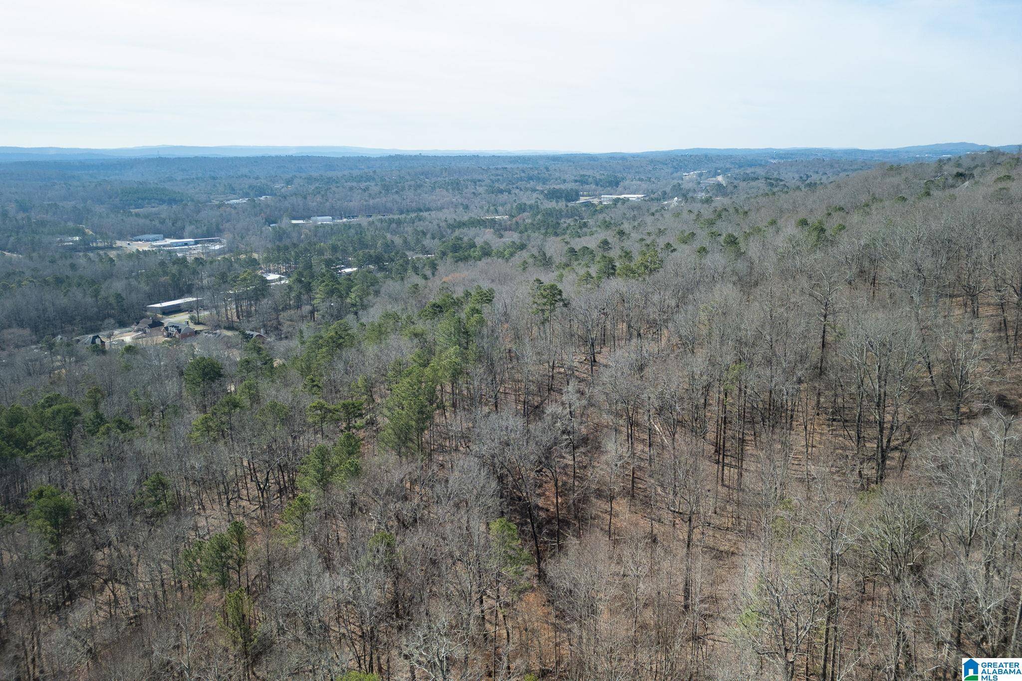 Trussville, AL 35173,612 SADDLEWOOD ROAD #7