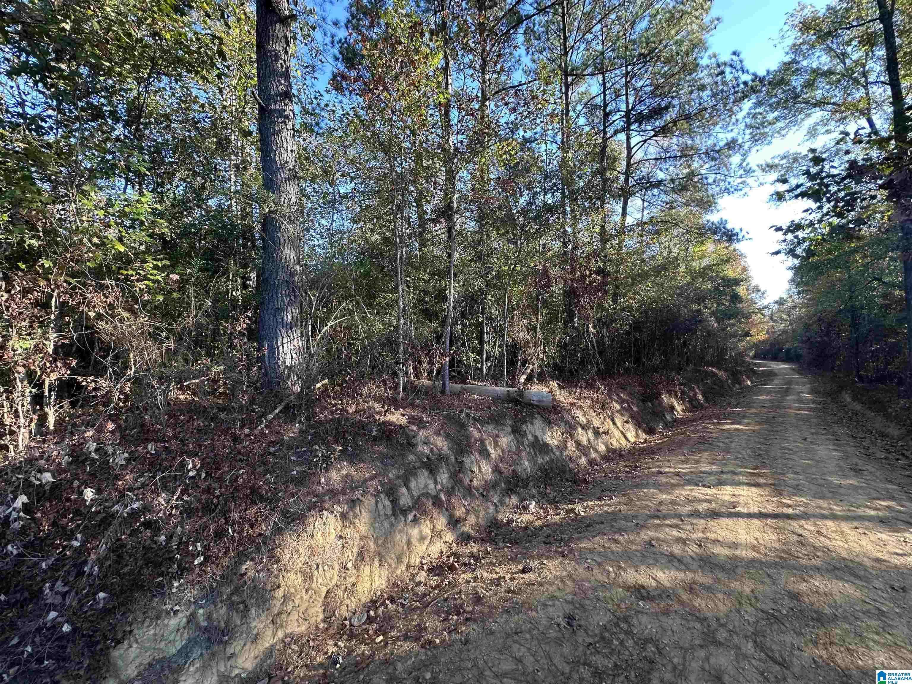 Clanton, AL 35046,1 COUNTY ROAD 176 #5487