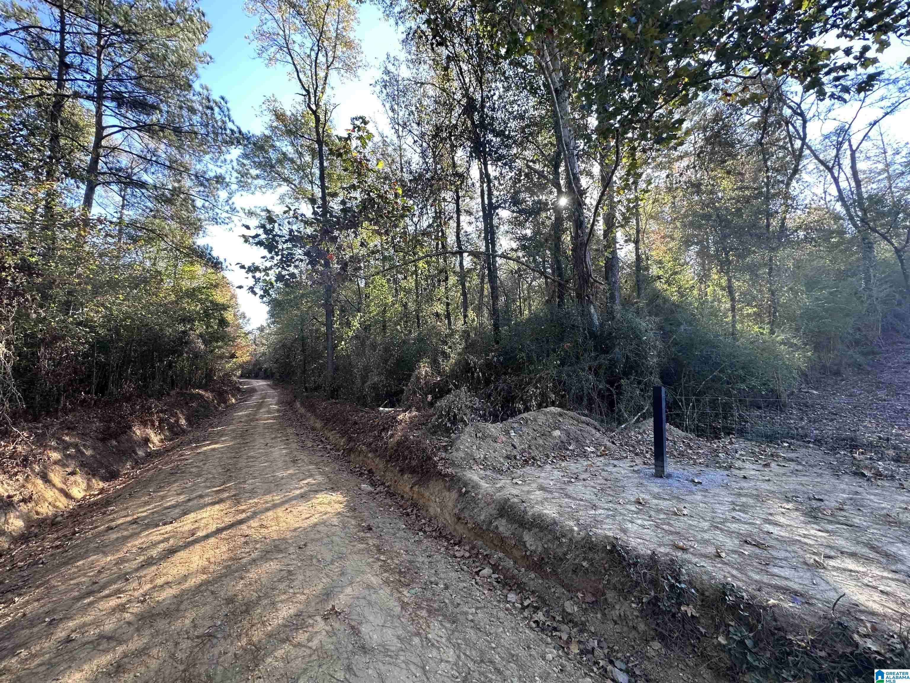 Clanton, AL 35046,2 COUNTY ROAD 176 #5495