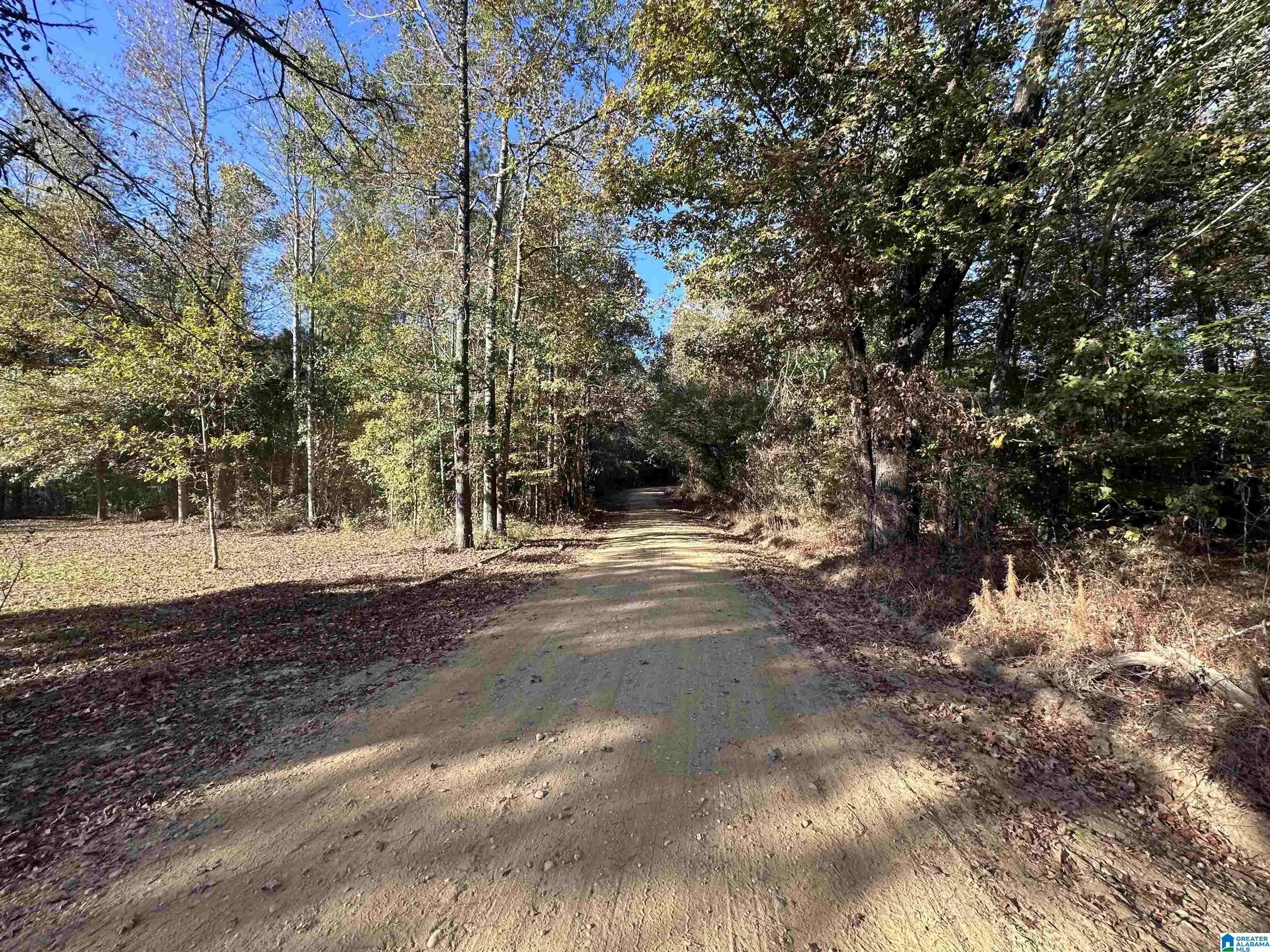 Clanton, AL 35046,2 COUNTY ROAD 176 #5495
