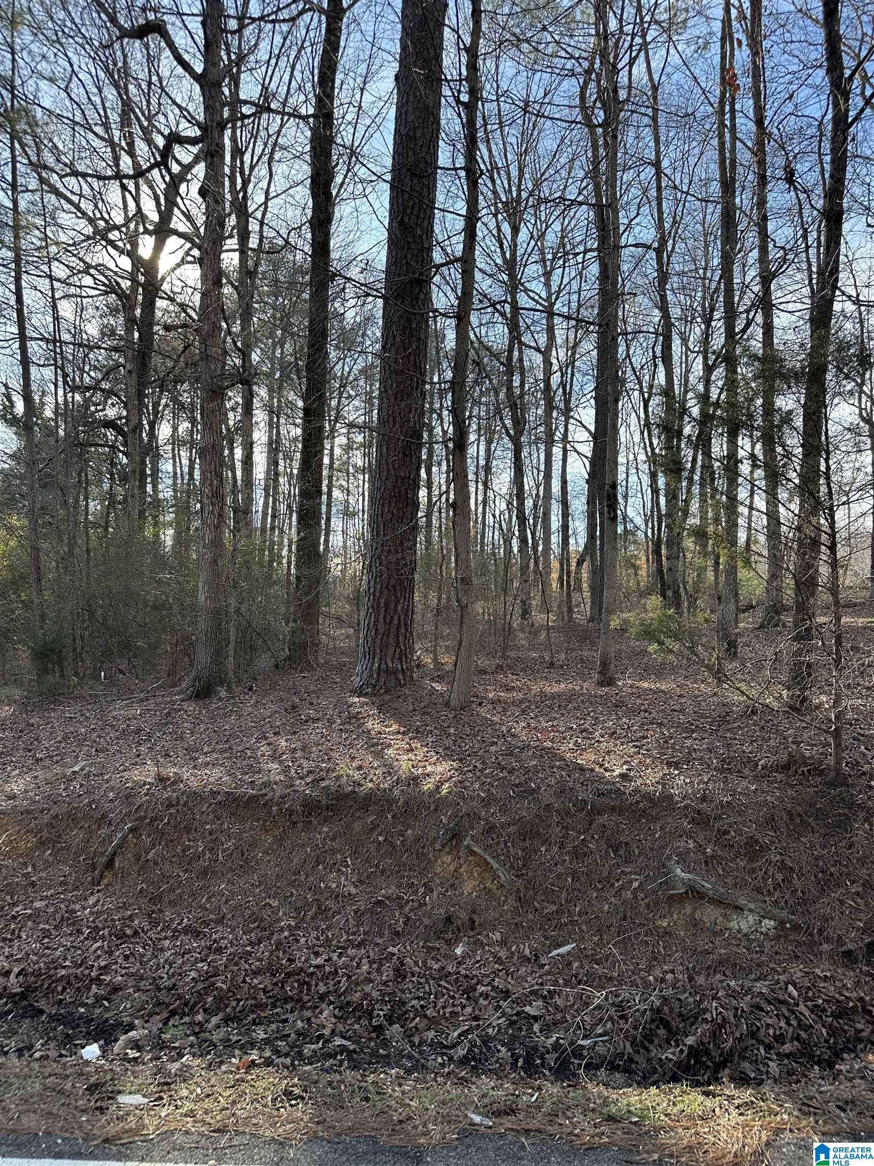 Pinson, AL 35126,9987 SILLEY DEAN ROAD #001