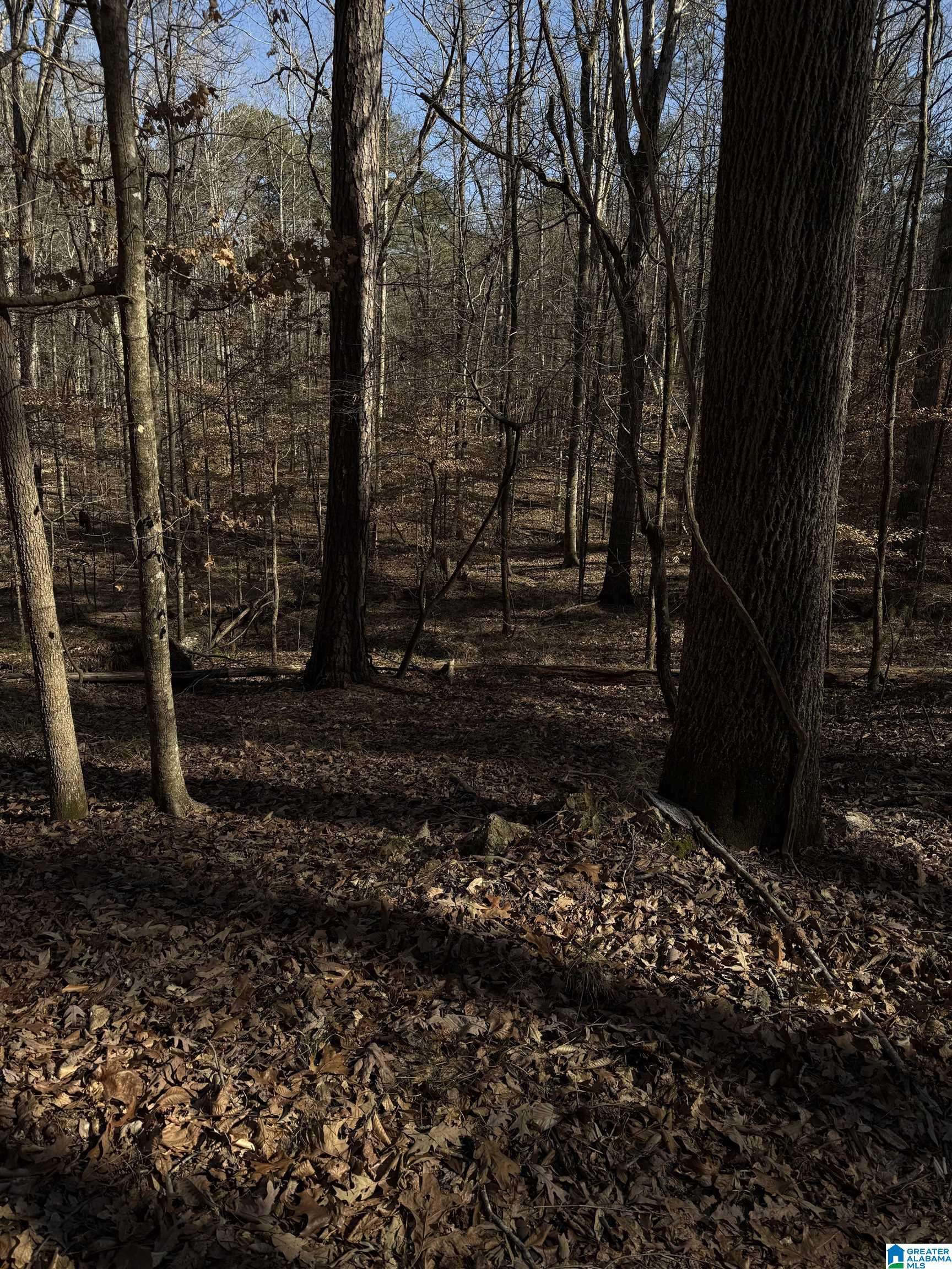 Alabaster, AL 35007,3 OAKMONT DRIVE #3