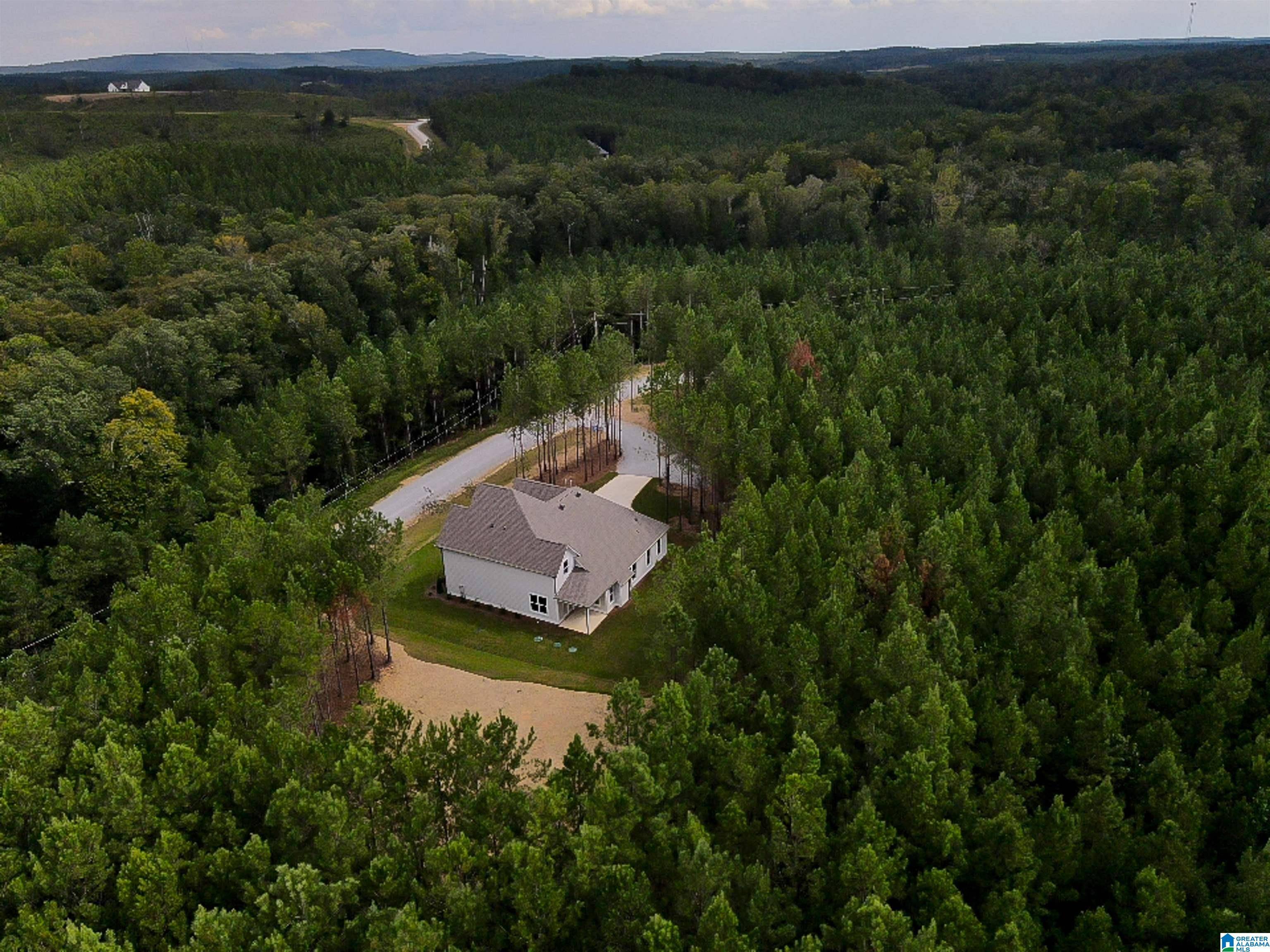 Columbiana, AL 35051,17 LOBLOLLY LANE