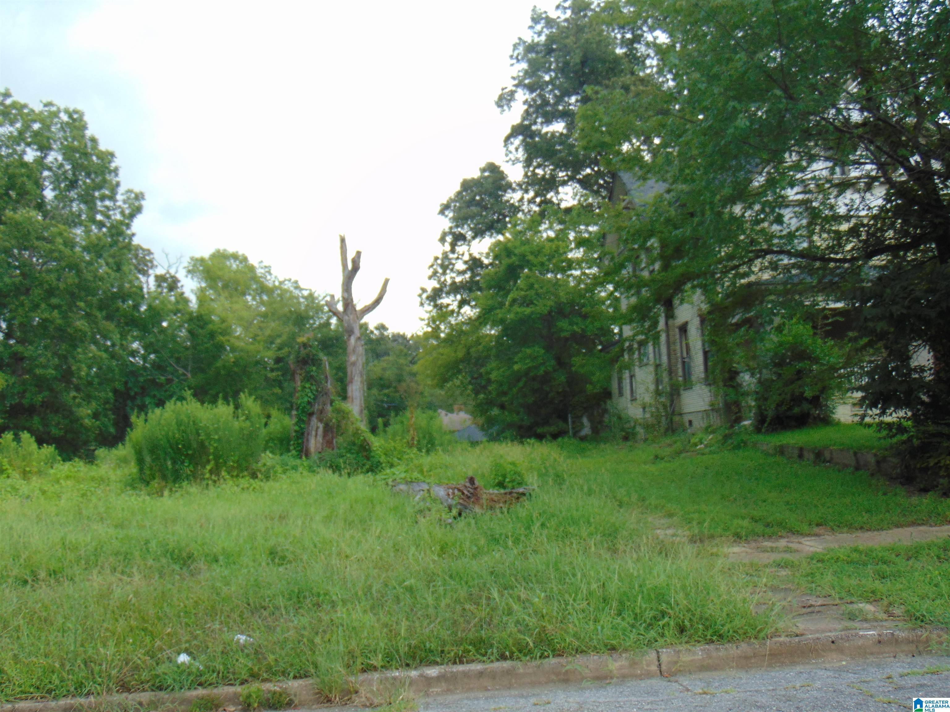 Birmingham, AL 35234,1305 N 32ND STREET #s 1/2 lot 34