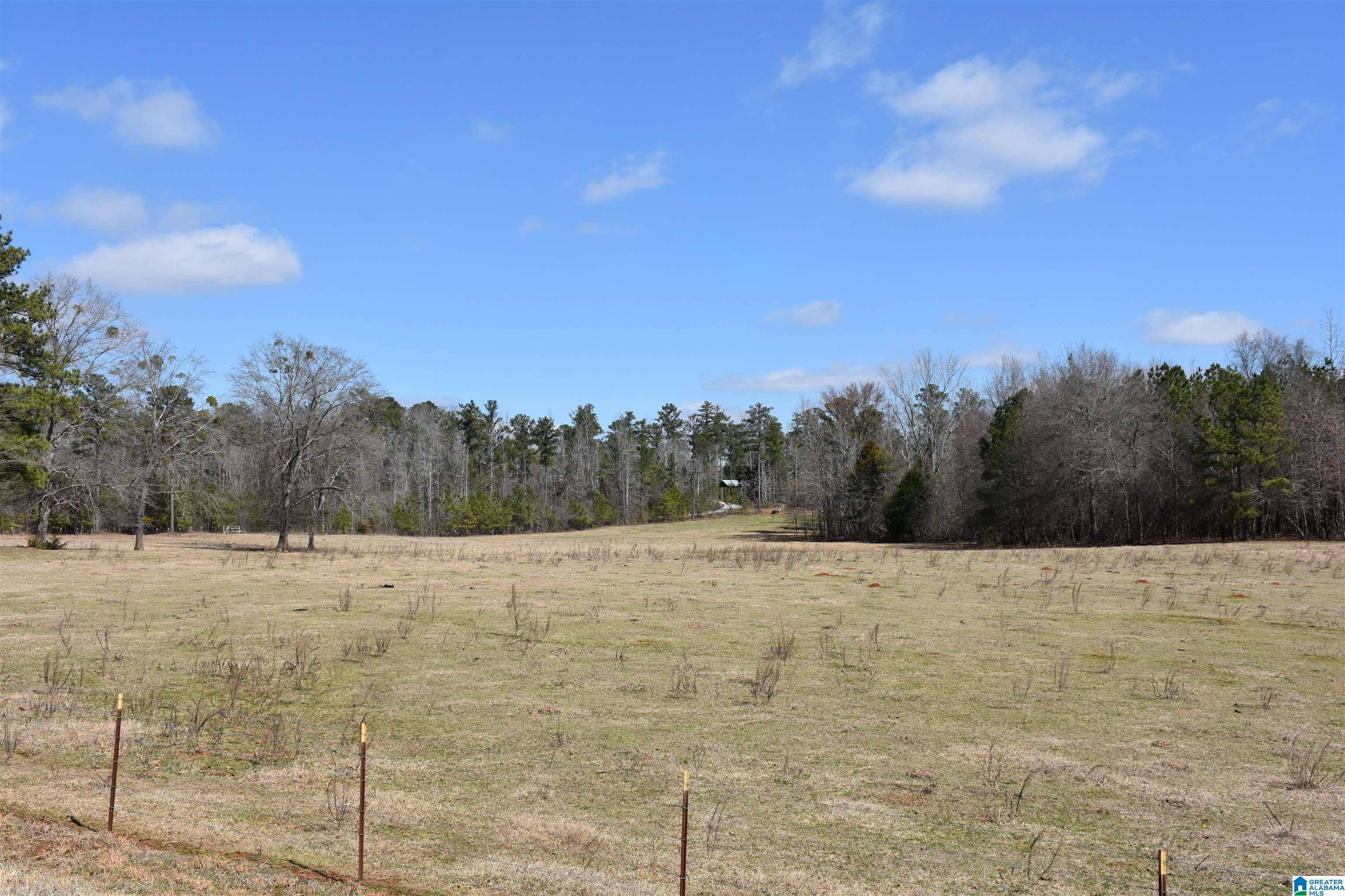 Alpine, AL 35014,2003 NEW MARYLAND ROAD