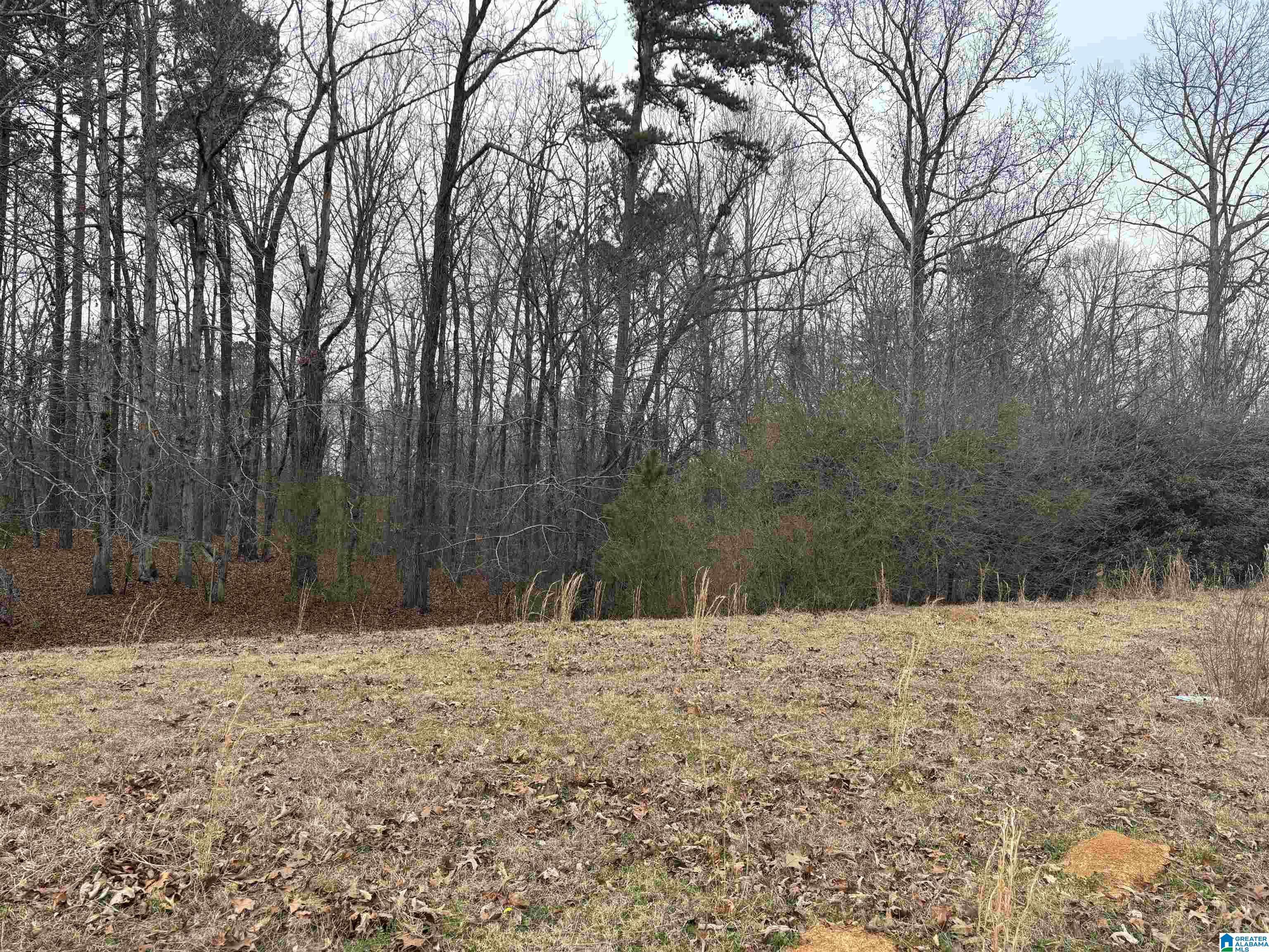 Hueytown, AL 35023,2463 HEMLOCK DRIVE #1