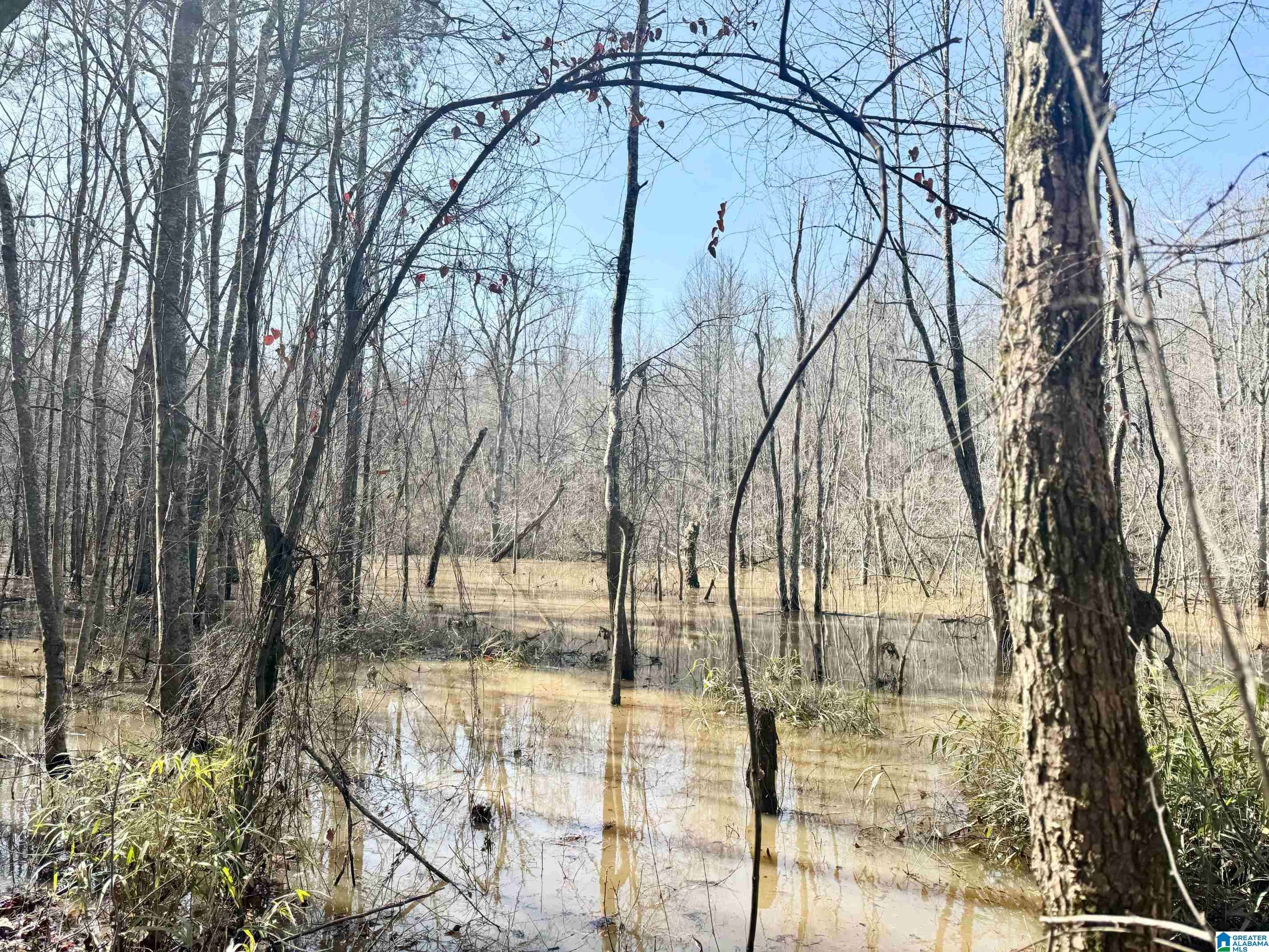 Roanoke, AL 36274,0 CODY ROAD #15.66 acres