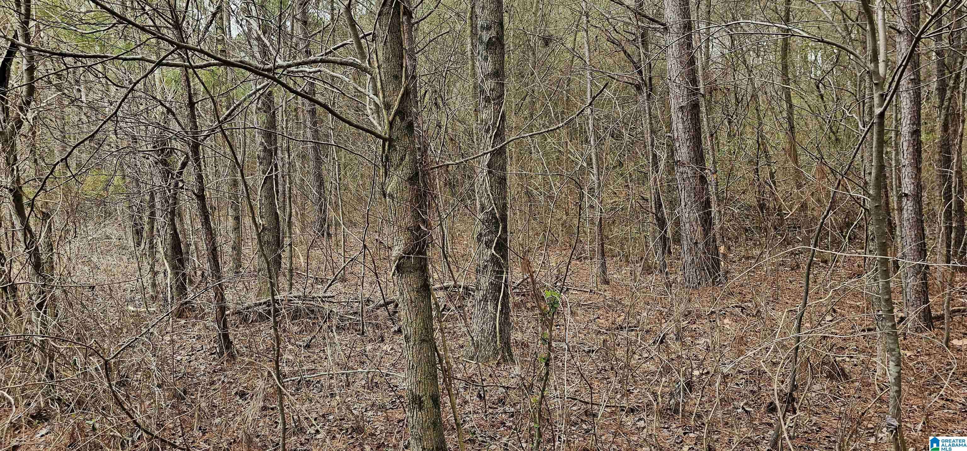 Oneonta, AL 35121,3753 COUNTY ROAD 42 #1
