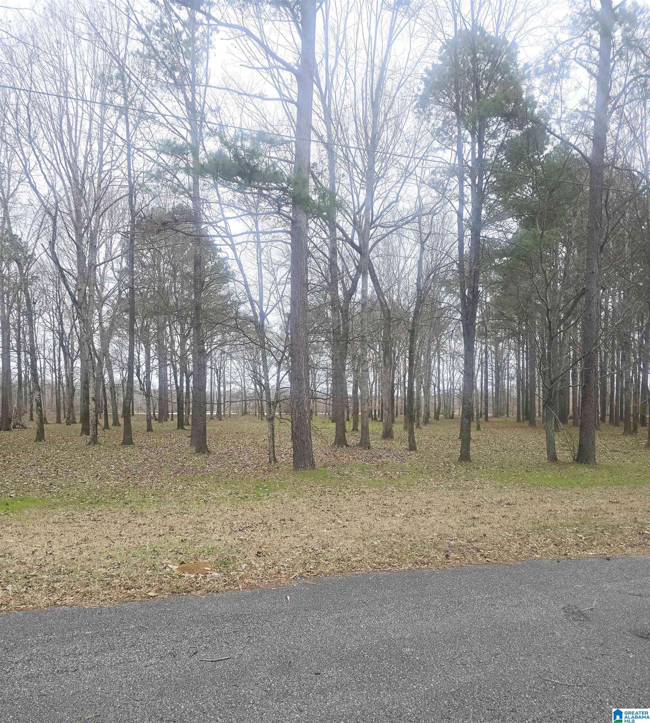 Akron, AL 36776,CYPRESS POINT DRIVE #12