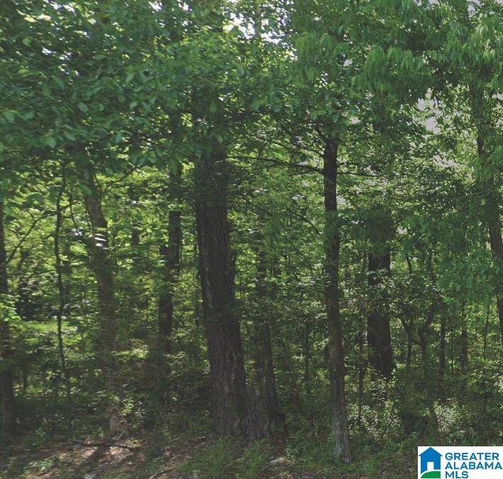 Pinson, AL 35126,4575 SILVER LAKE ROAD #0