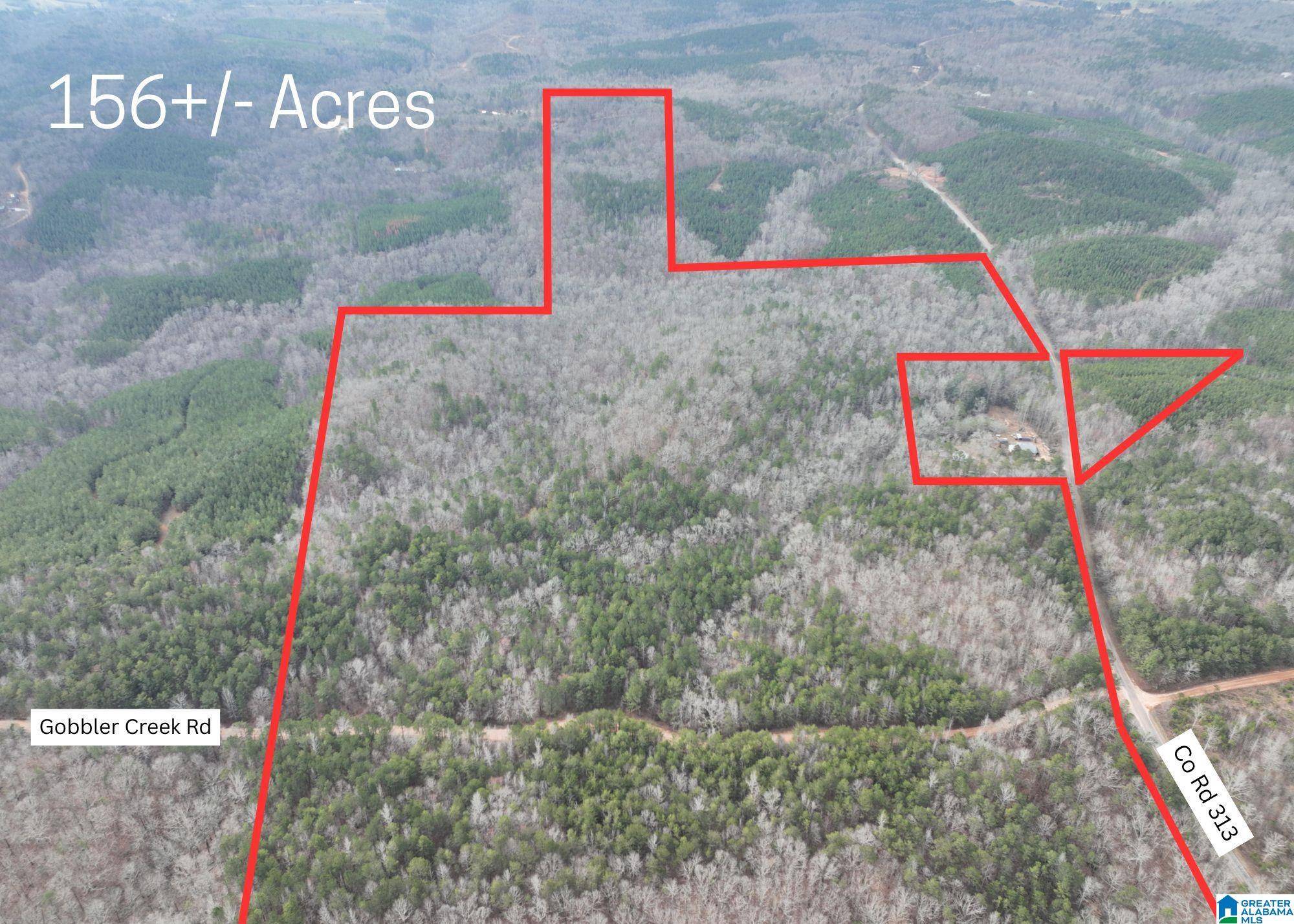 Wedowee, AL 36278,156+/- Acres COUNTY ROAD 313 #156+/- Acres