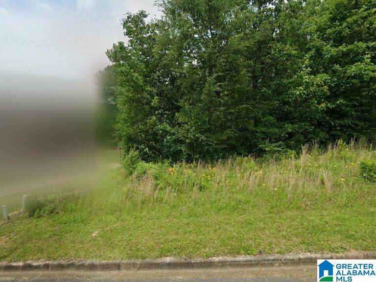 Helena, AL 35022,516 STERLING LAKES WAY #50