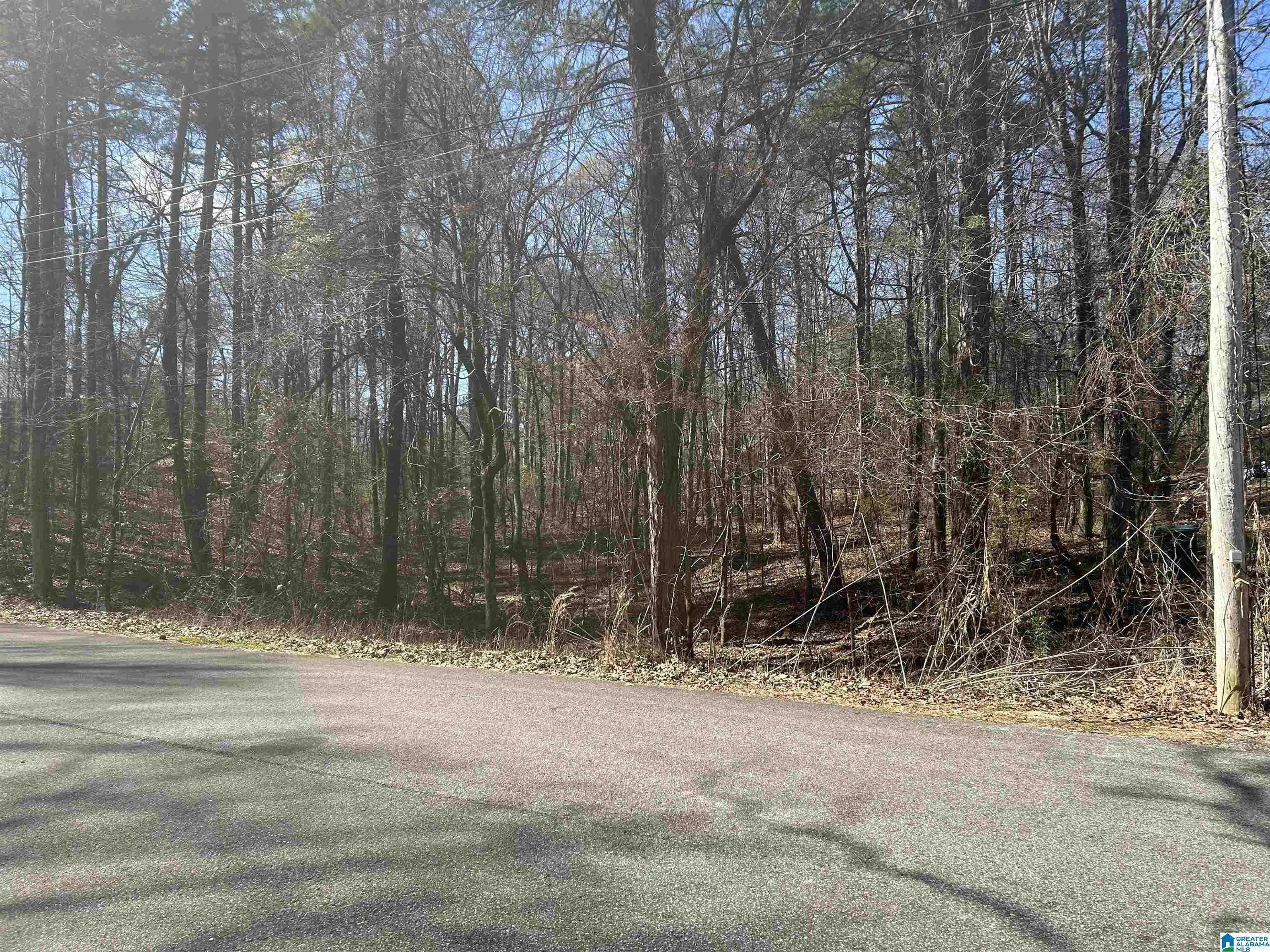 Mccalla, AL 35111,Lot 3 COTTONWOOD DRIVE #Lot 3