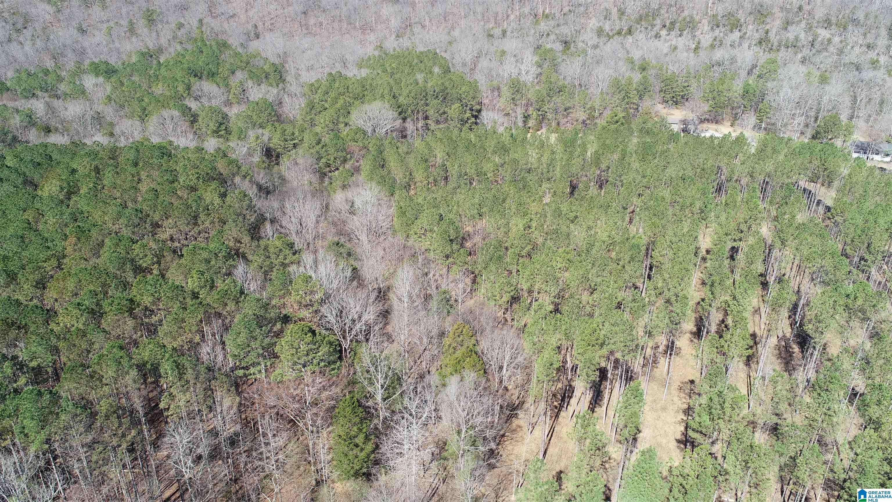 Oneonta, AL 35121,109 SHADOW STONE LANE