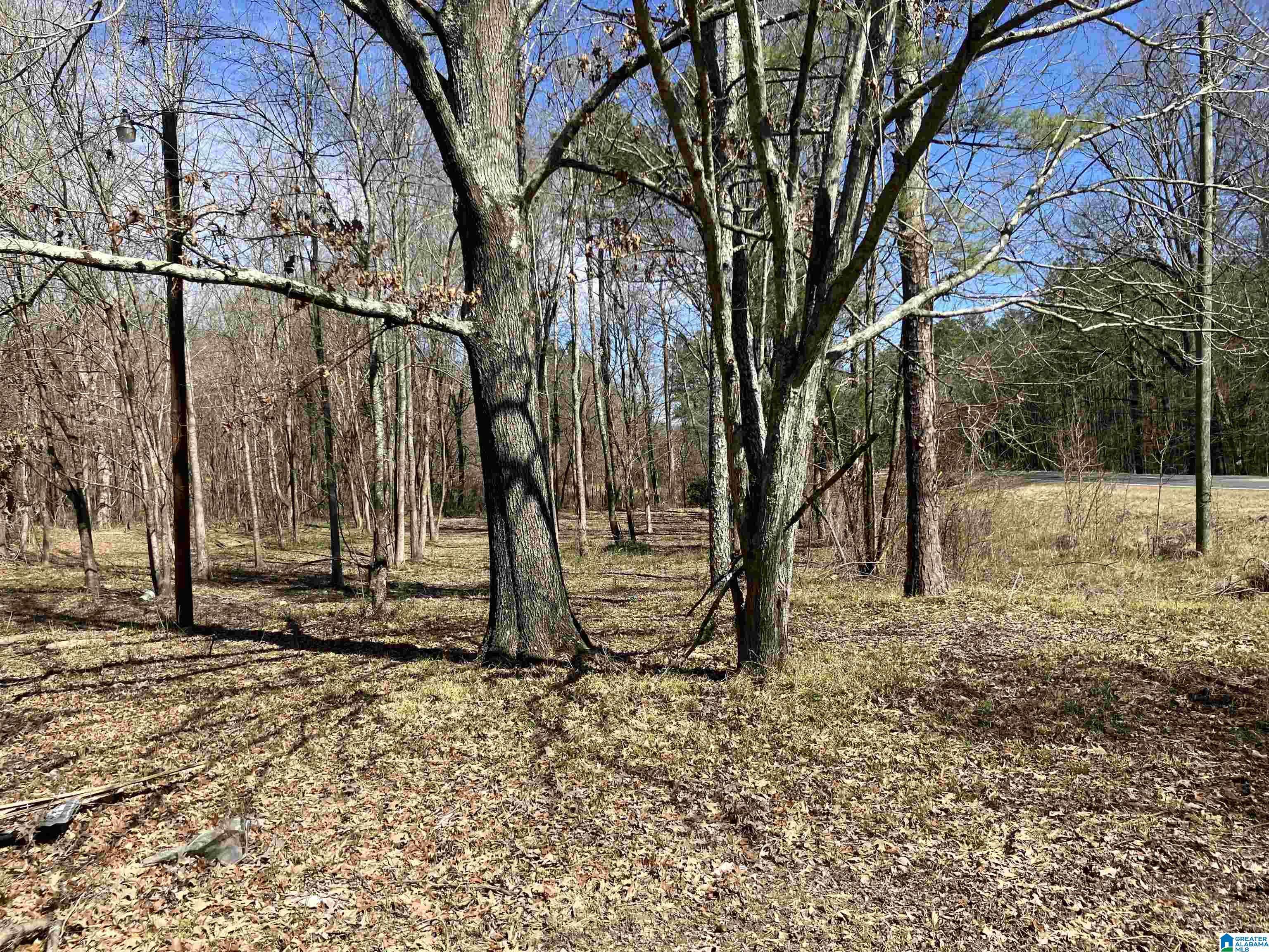 Steele, AL 35987,4639 POPE AVENUE #1