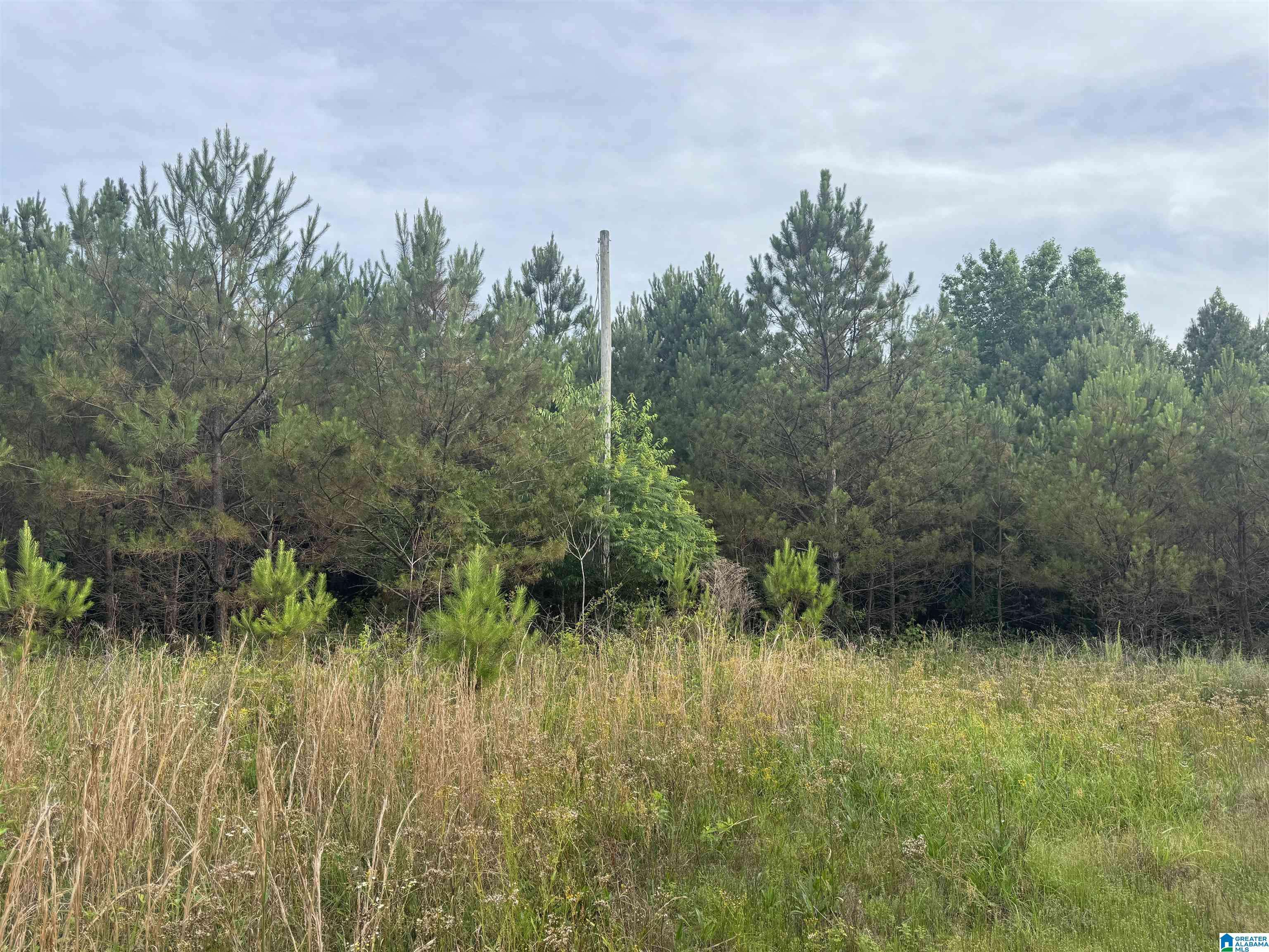 Guin, AL 35563,0 US HIGHWAY 43 #1