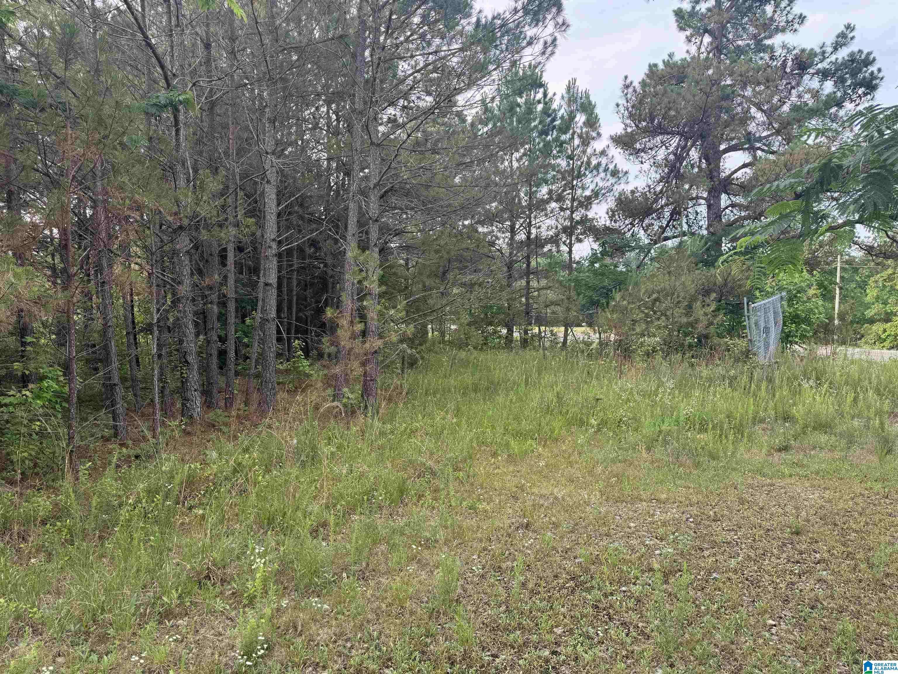 Guin, AL 35563,0 US HIGHWAY 43 #1