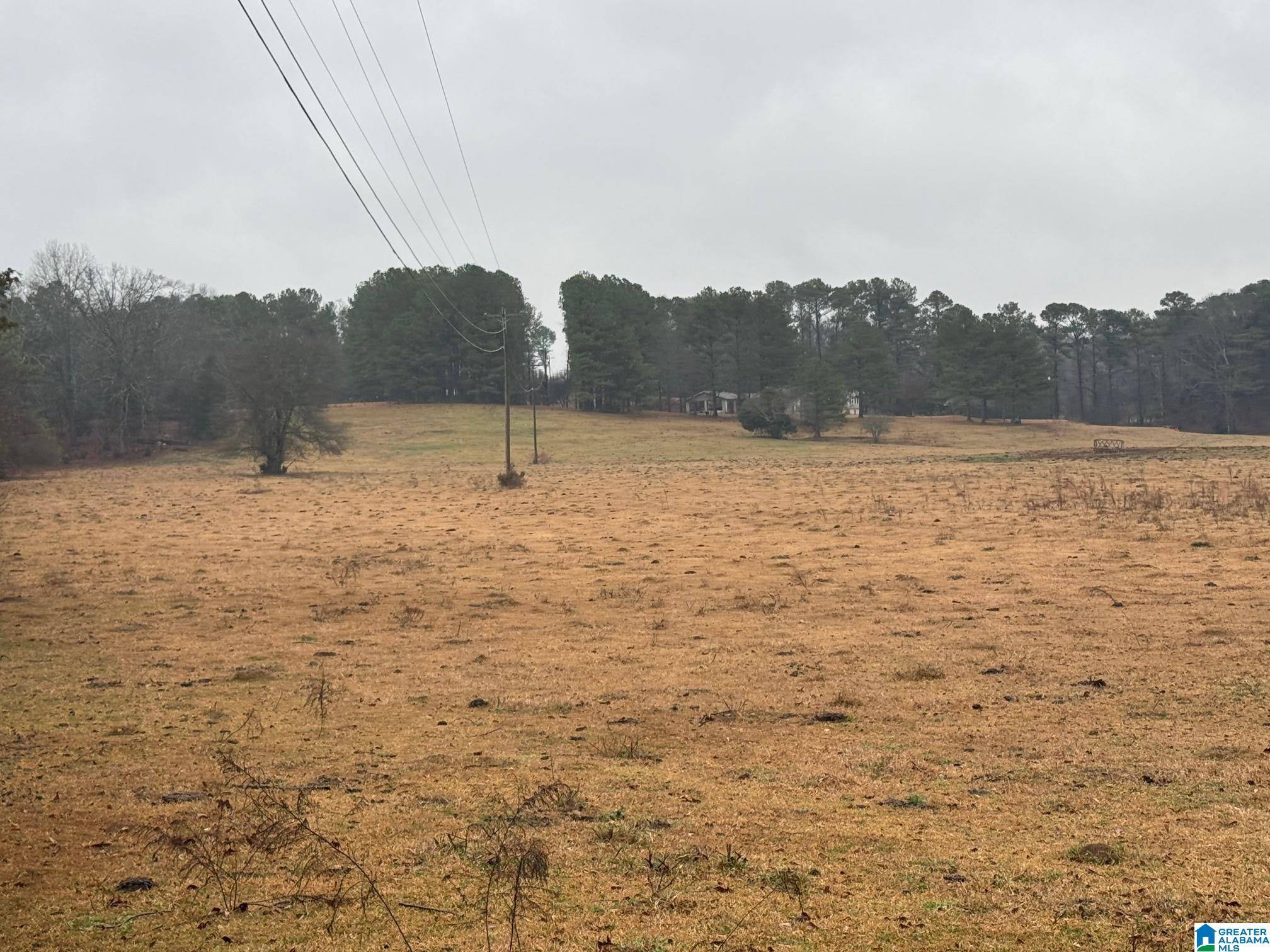 Cropwell, AL 35054,0 LOGAN MARTIN DAM ROAD #0