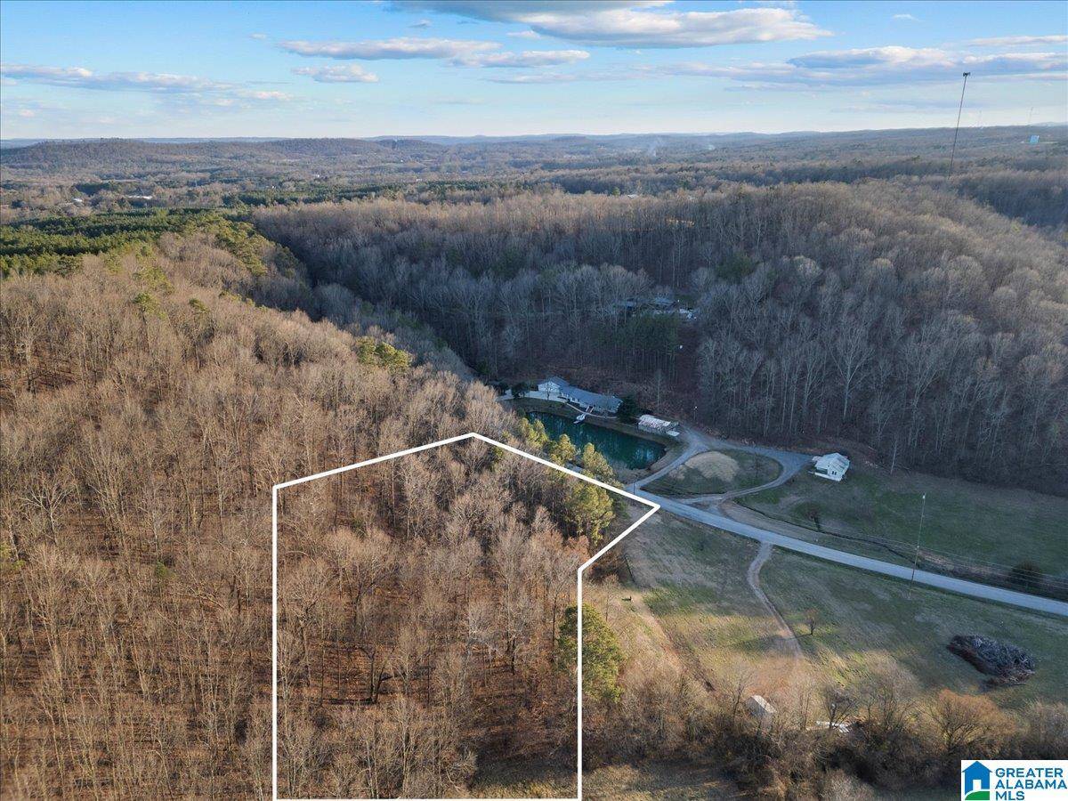 Blountsville, AL 35031,00 ROCKY HOLLOW ROAD #3.00