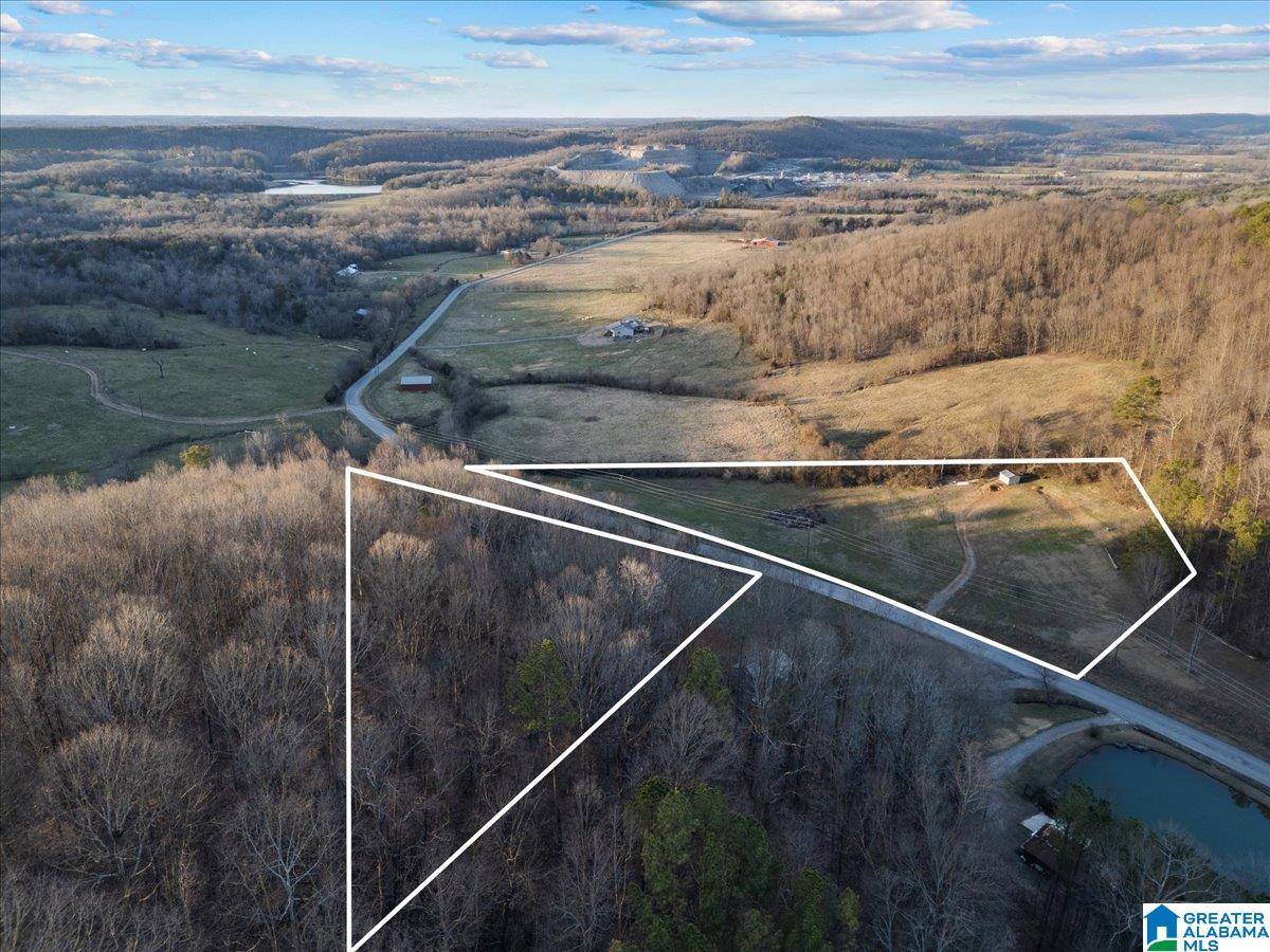 Blountsville, AL 35031,000 ROCKY HOLLOW ROAD #10