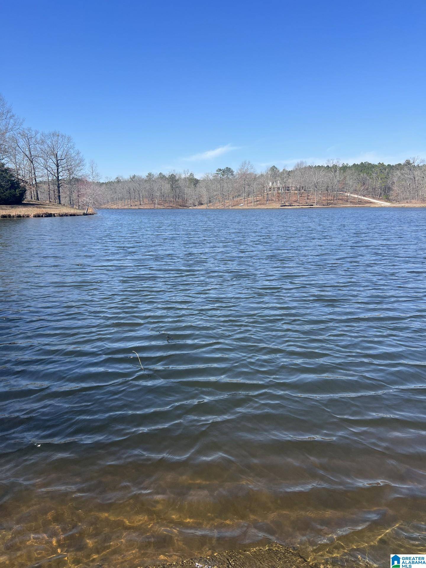 Jemison, AL 35085,1733 COUNTY ROAD 153
