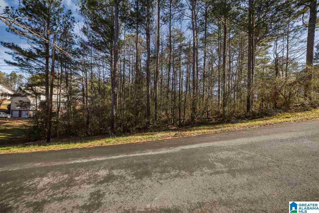 Oneonta, AL 35121,0 SCENIC TRAIL #1