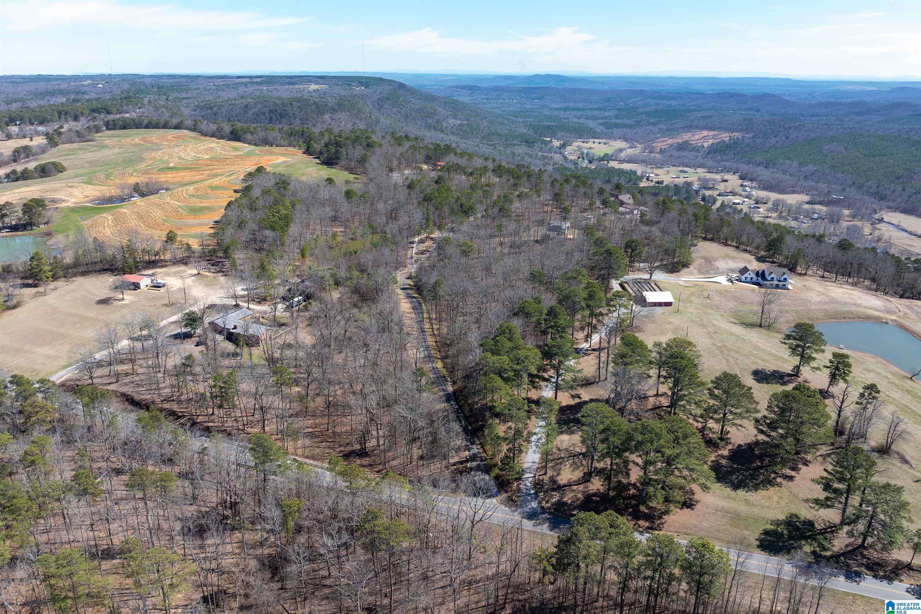 Springville, AL 35146,8879 COUNTY ROAD 27