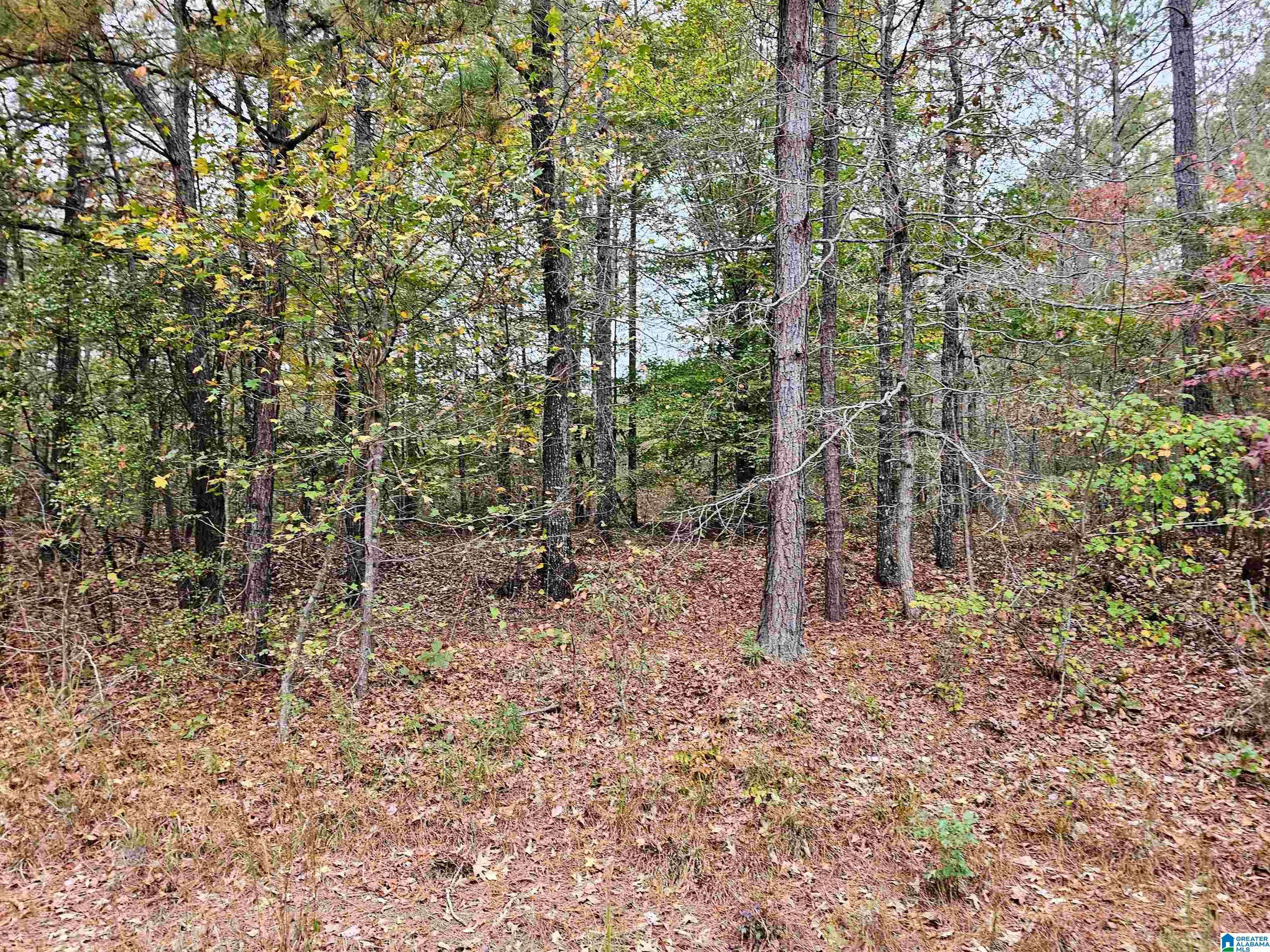 Heflin, AL 36264,UNKN COUNTY ROAD 60 #7.2