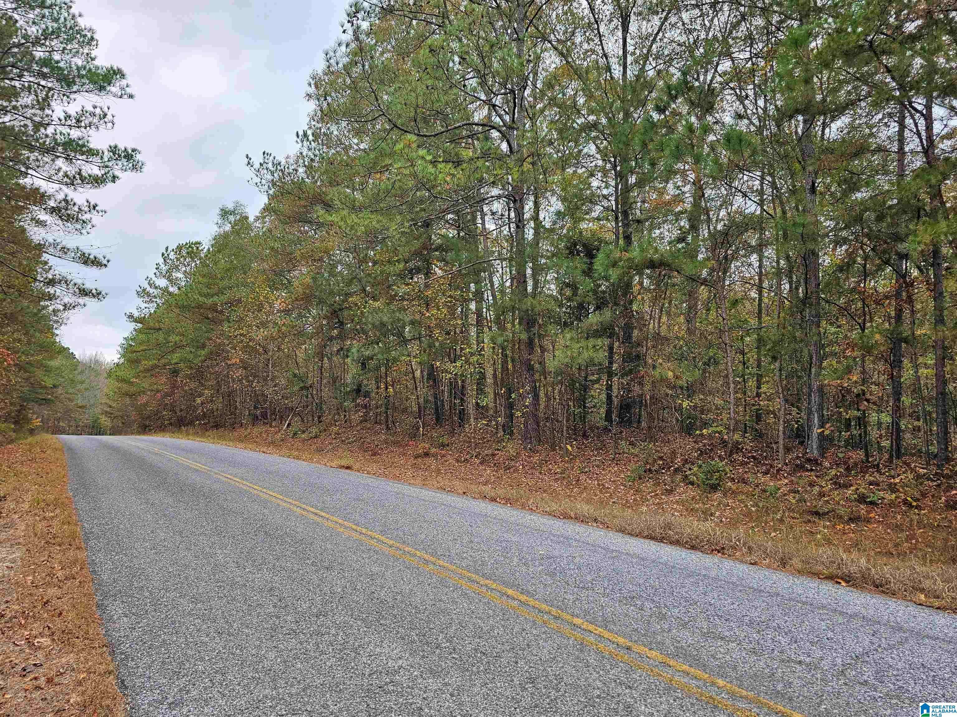 Heflin, AL 36264,0 COUNTY ROAD 60 #5.00