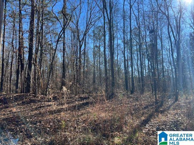 Ashland, AL 36251,0 CREEK ROAD #0