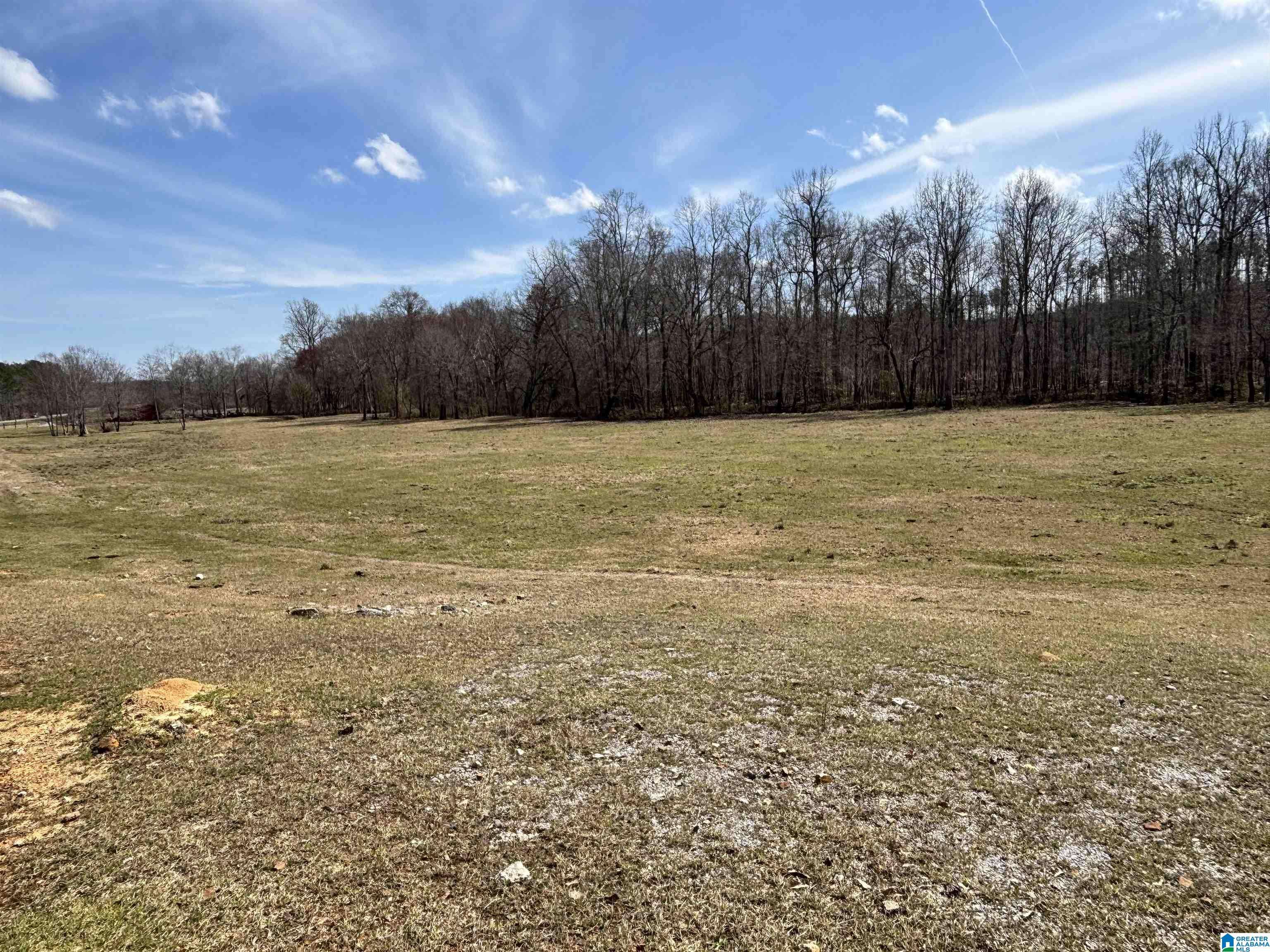 Columbiana, AL 35051,6940 HIGHWAY 26 #Acreage