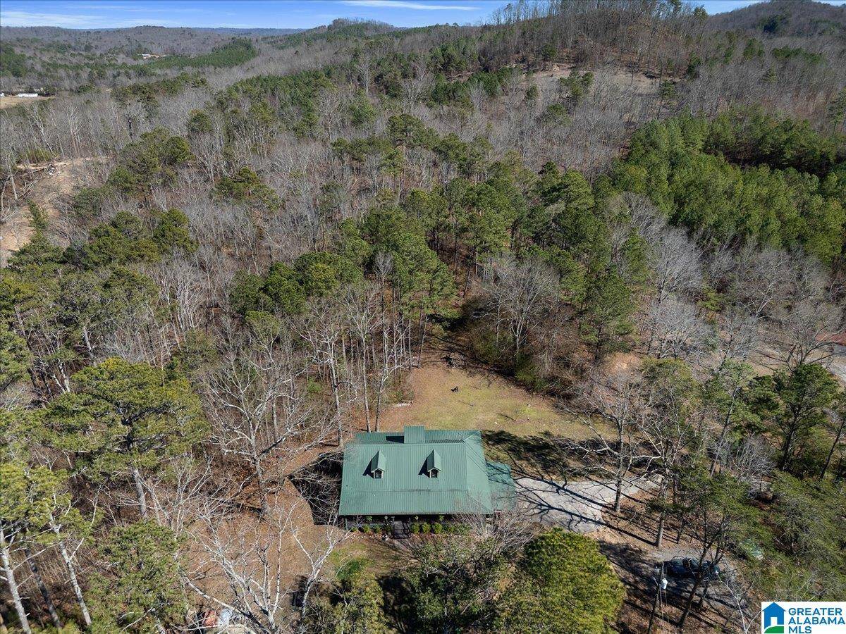 Oneonta, AL 35121,56304 US HWY 231