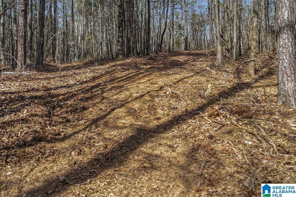Columbiana, AL 35051,Lot 4 HIGHWAY 47 #Lot 4