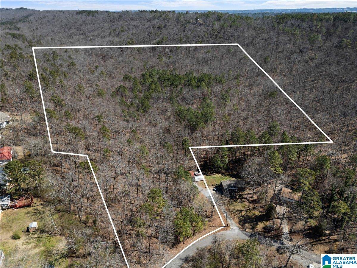 Oneonta, AL 35121,0 OAKRIDGE DRIVE #entire parcel