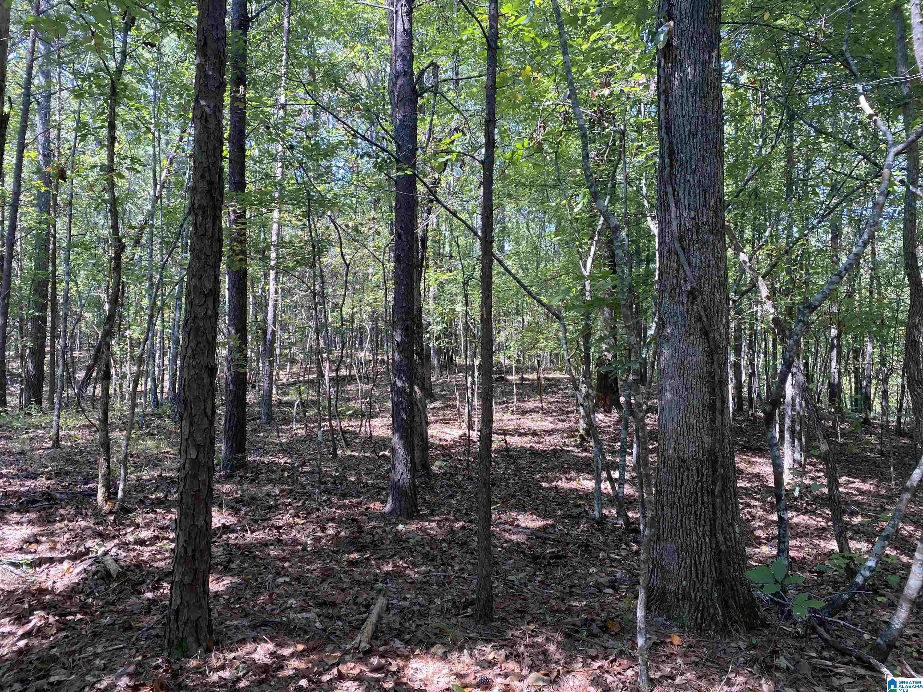 Mccalla, AL 35111,8821 SERENE DRIVE #1
