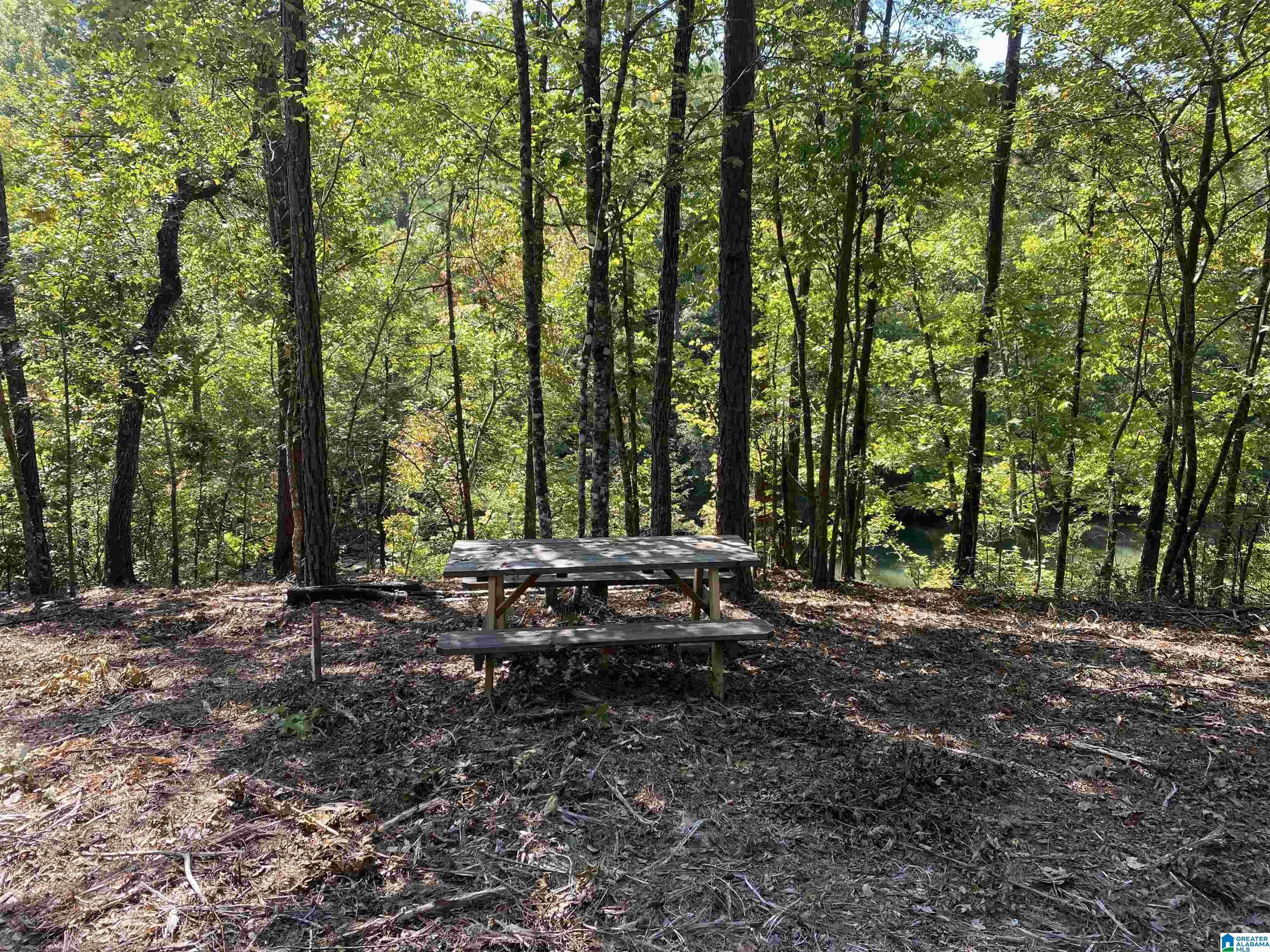 Mccalla, AL 35111,8821 SERENE DRIVE #1