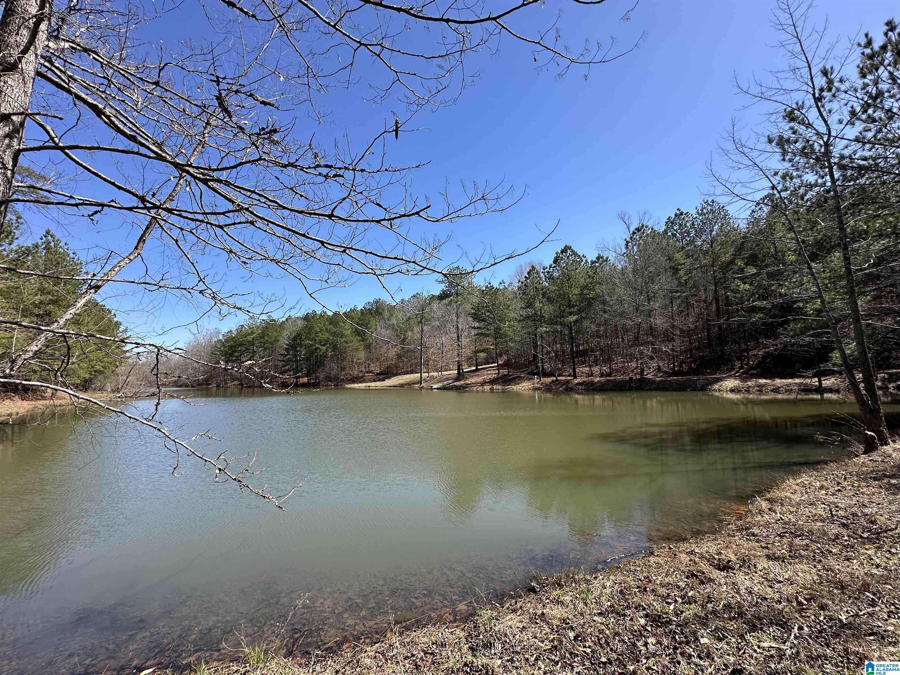 Adger, AL 35006,3350 JOHNSON ROAD #24