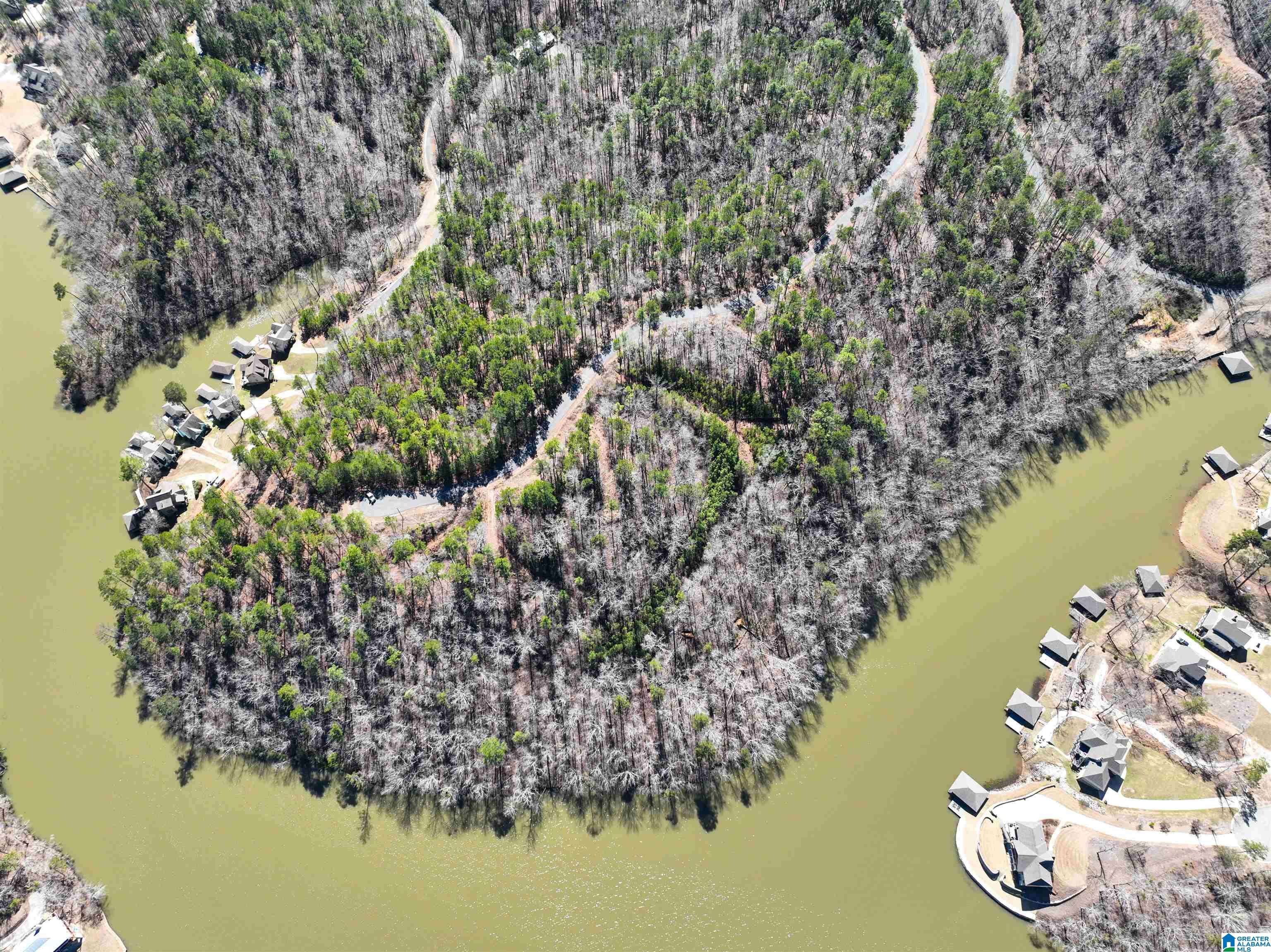 Rockford, AL 35136,0 PRESERVE CIRCLE #Lot 2