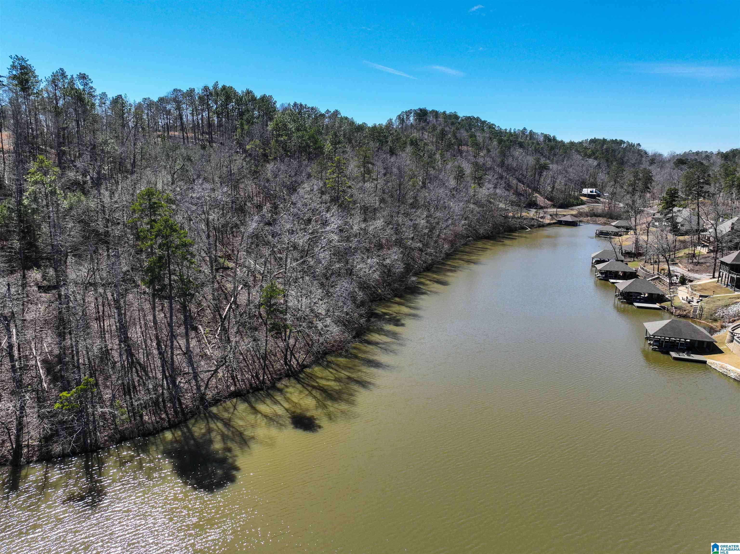 Rockford, AL 35136,0 PRESERVE CIRCLE #Lot 3