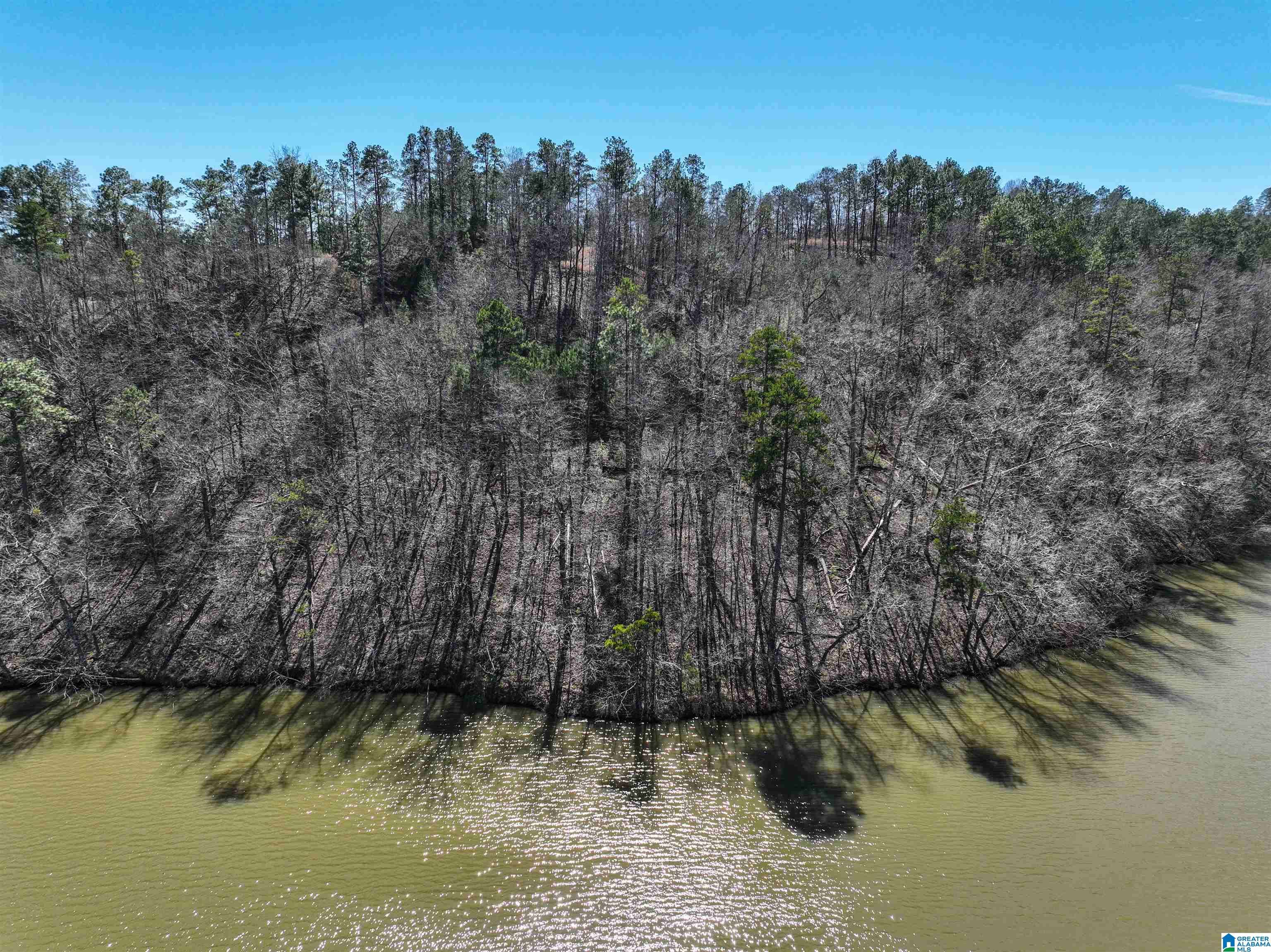 Rockford, AL 35136,0 PRESERVE CIRCLE #Lot 8