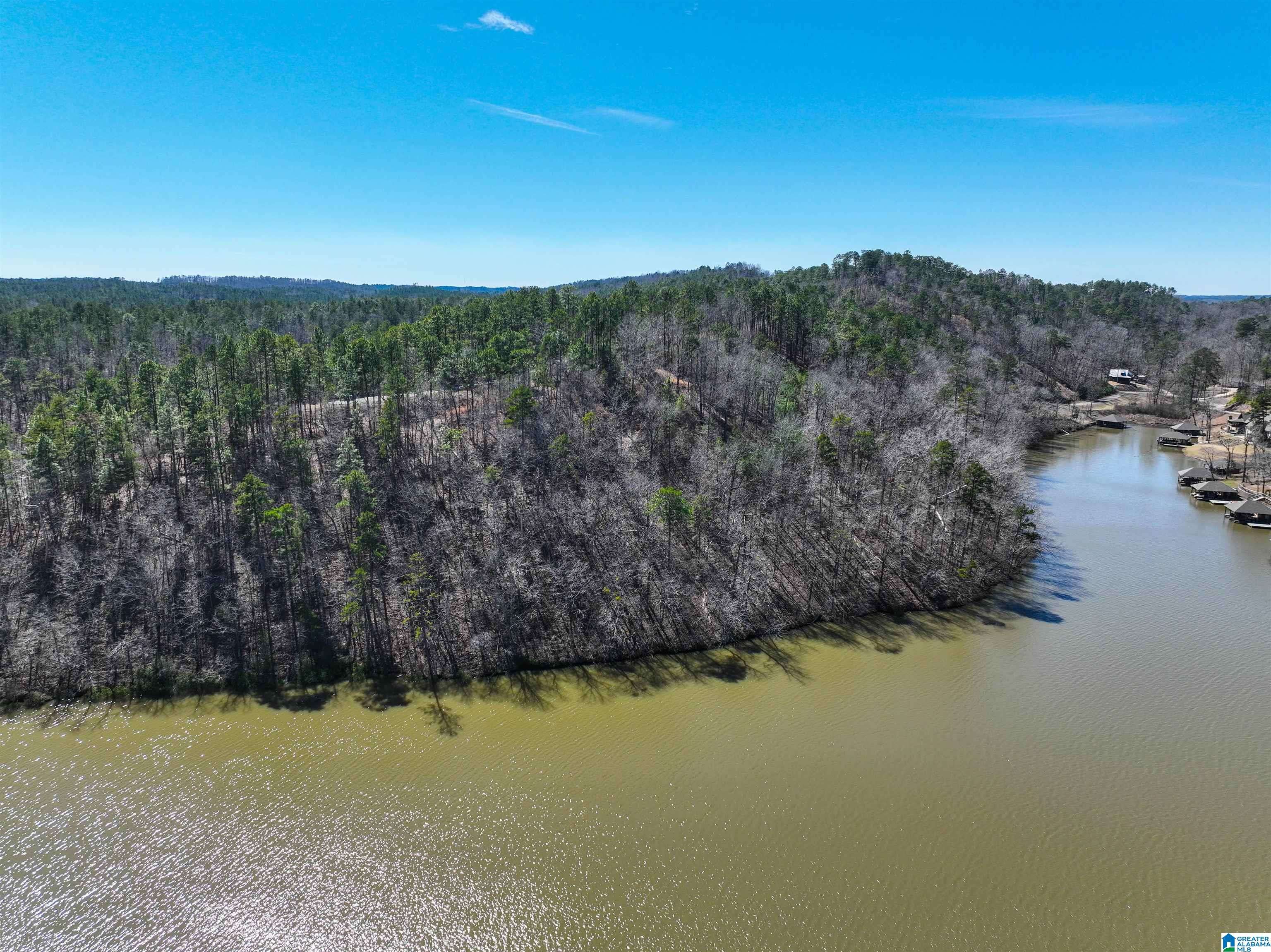 Rockford, AL 35136,0 PRESERVE CIRCLE #Lot 9